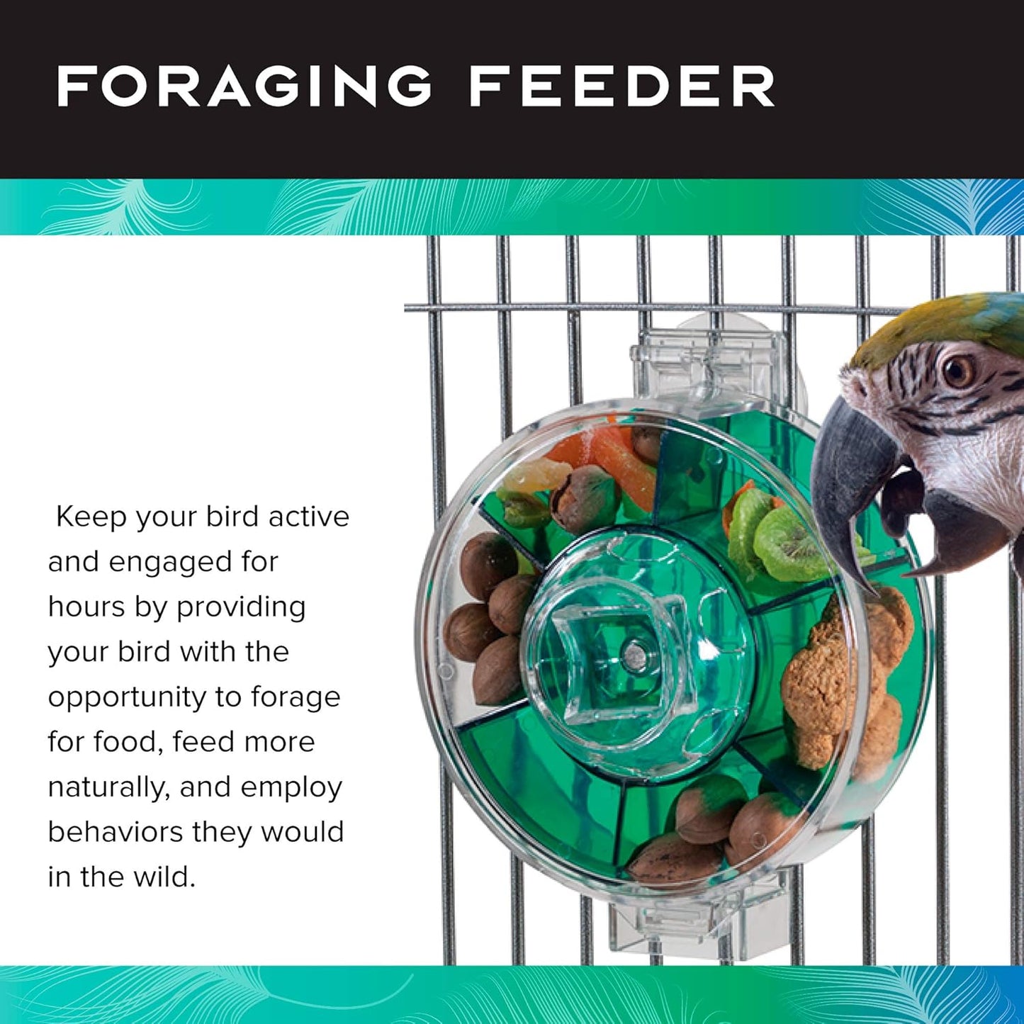Featherland Paradise Creative Foraging Systems Foraging Wheel, Interactive Bird Cage Toy Feeder