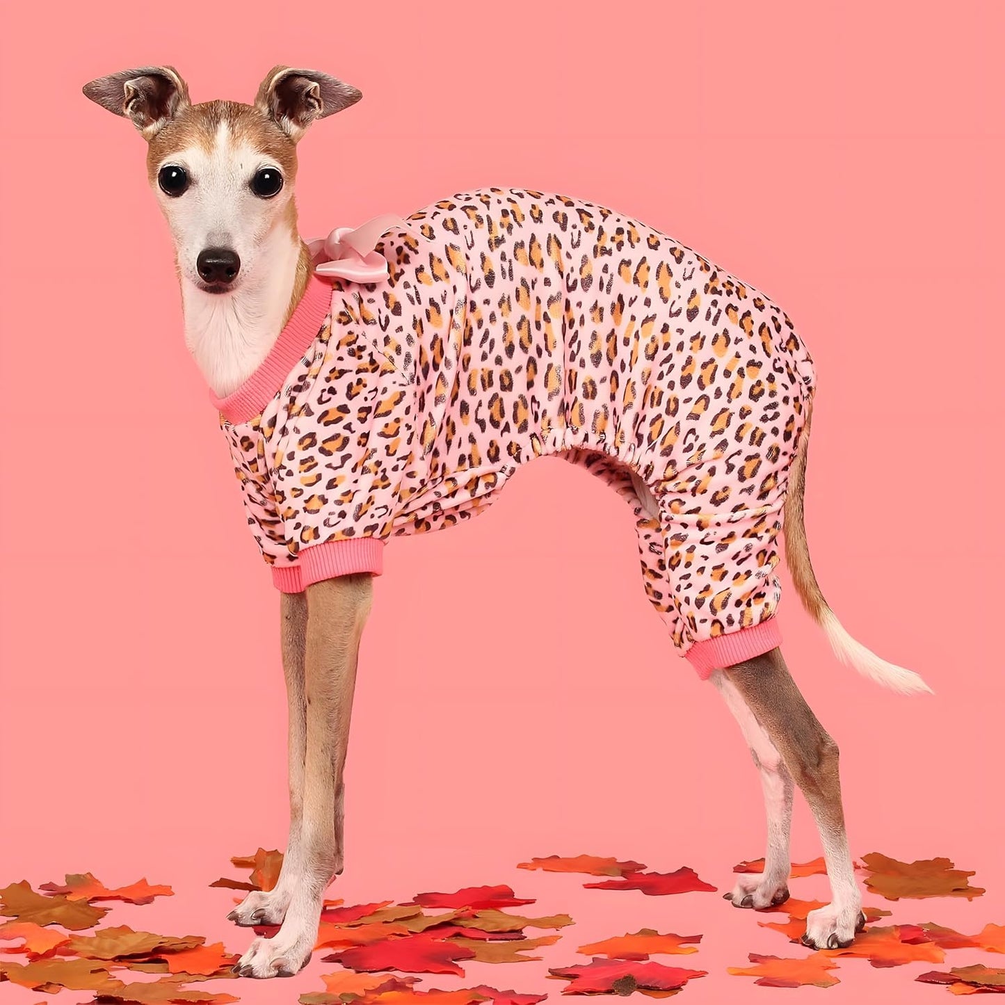 Fitwarm Leopard Dog Pajamas, Fleece Dog Clothes for Small Dogs Girl with Legs, Pet Onesie, Cat Outfit, Pink, XXL
