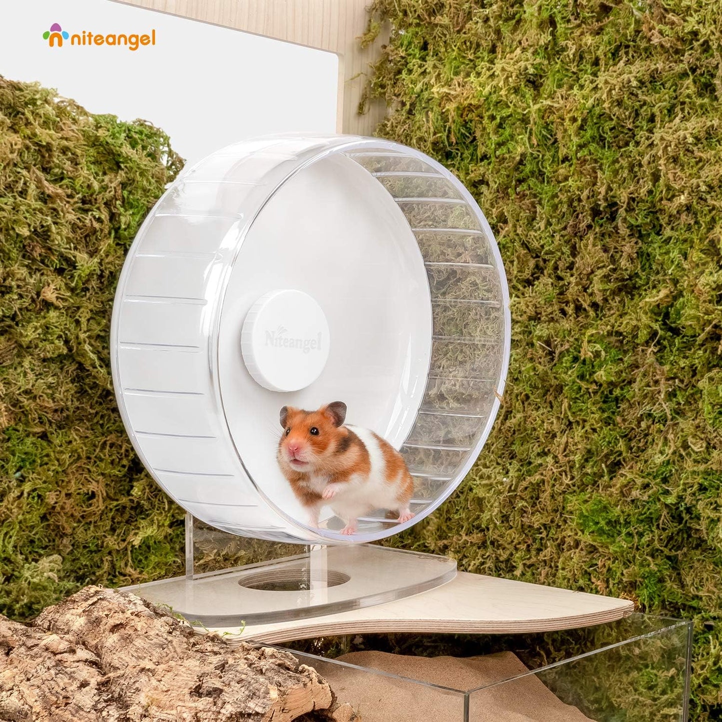 Niteangel Super-Silent Hamster Exercise Wheels: - Quiet Spinner Hamster Running Wheels with Adjustable Stand for Hamsters Gerbils Mice Or Other Small Animals (M, White)