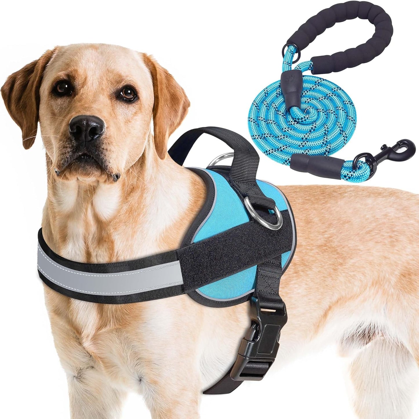 Haapaw Essential Dog Harness, No Pull Pet Vest with 3 Leash Clips, No Choke, Reflective, Adjustable and Padded, for Easy Walking and Training for Large Dogs(L, Blue)