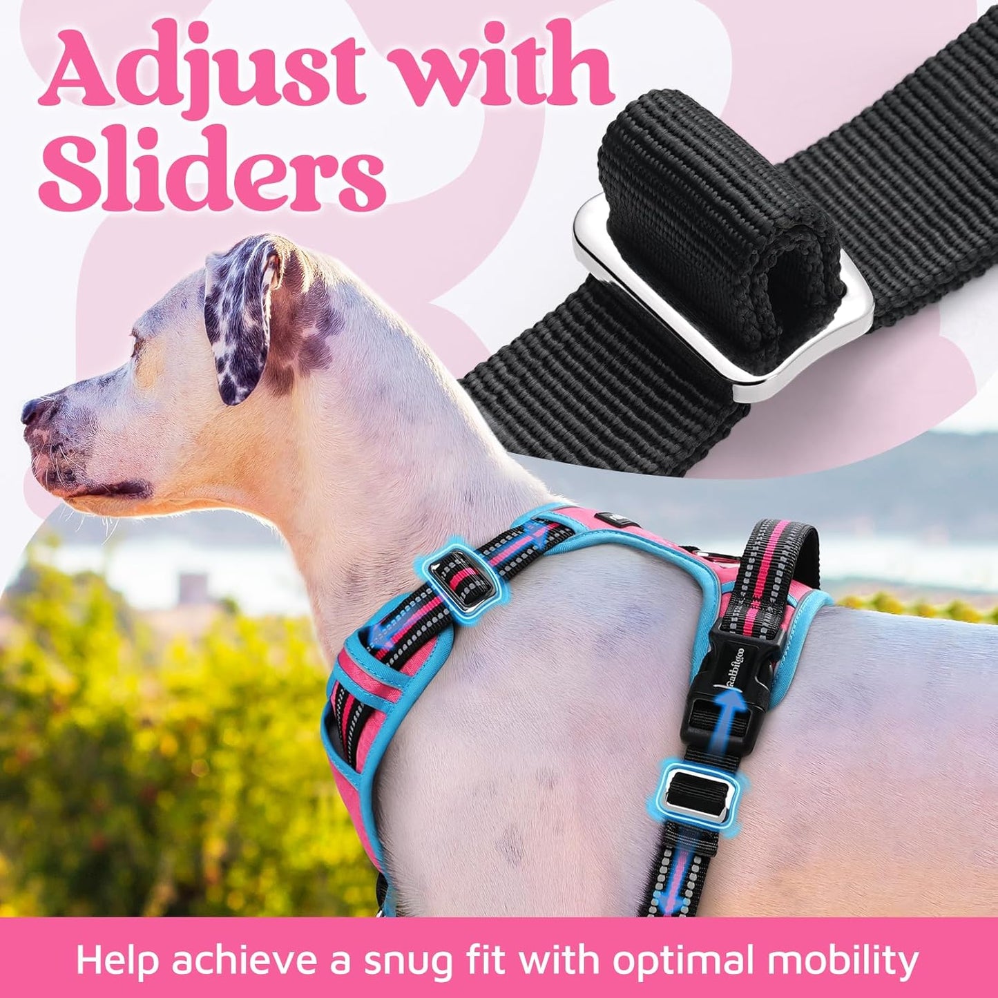 rabbitgoo Dog Harness Small Sized, No Pull Dog Vest with 3 Buckles, Adjustable Soft Padded Pet Harness with Easy Control Handle and Reflective Strips, Rose Pink & Blue, S
