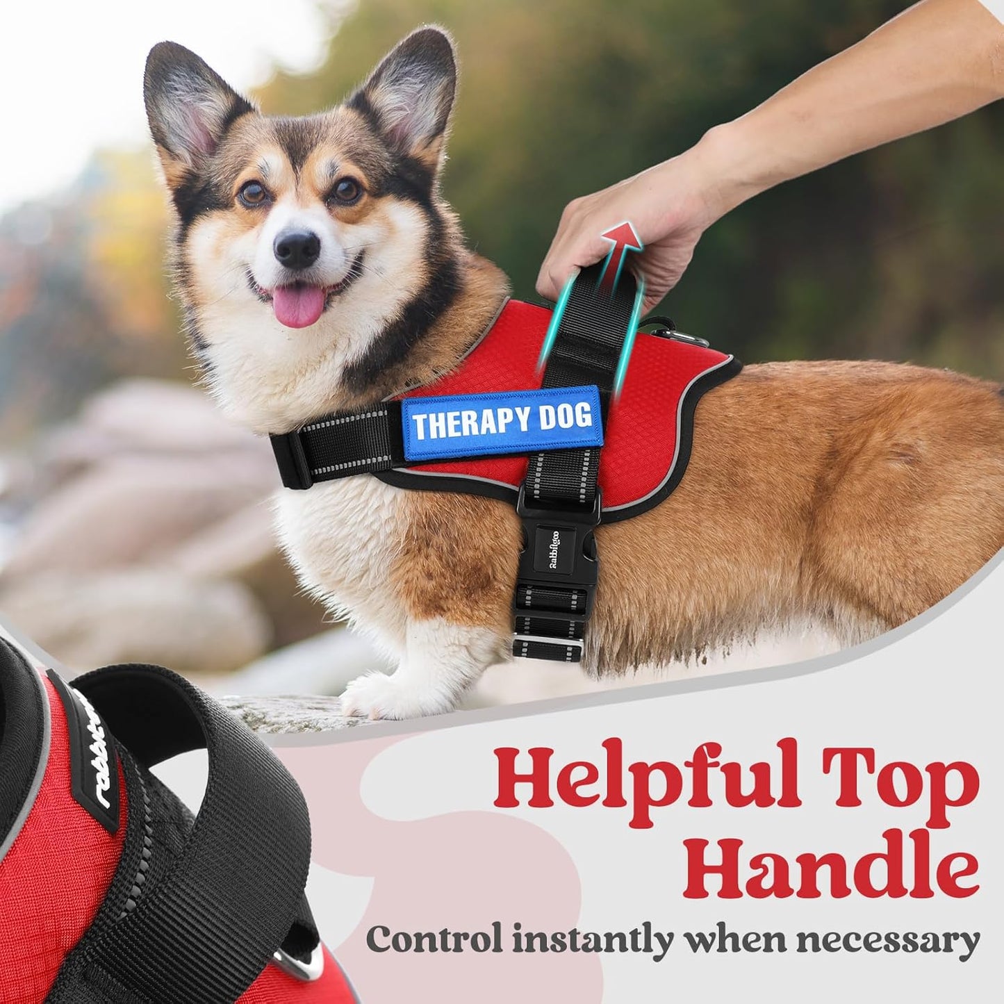 rabbitgoo Dog Harness for Large, Easy On Pet Vest with One Buckle, No Pull Adjustable Service Harness with D-Ring & Handle, Reflective for Safety Walking, Training, Red, XL