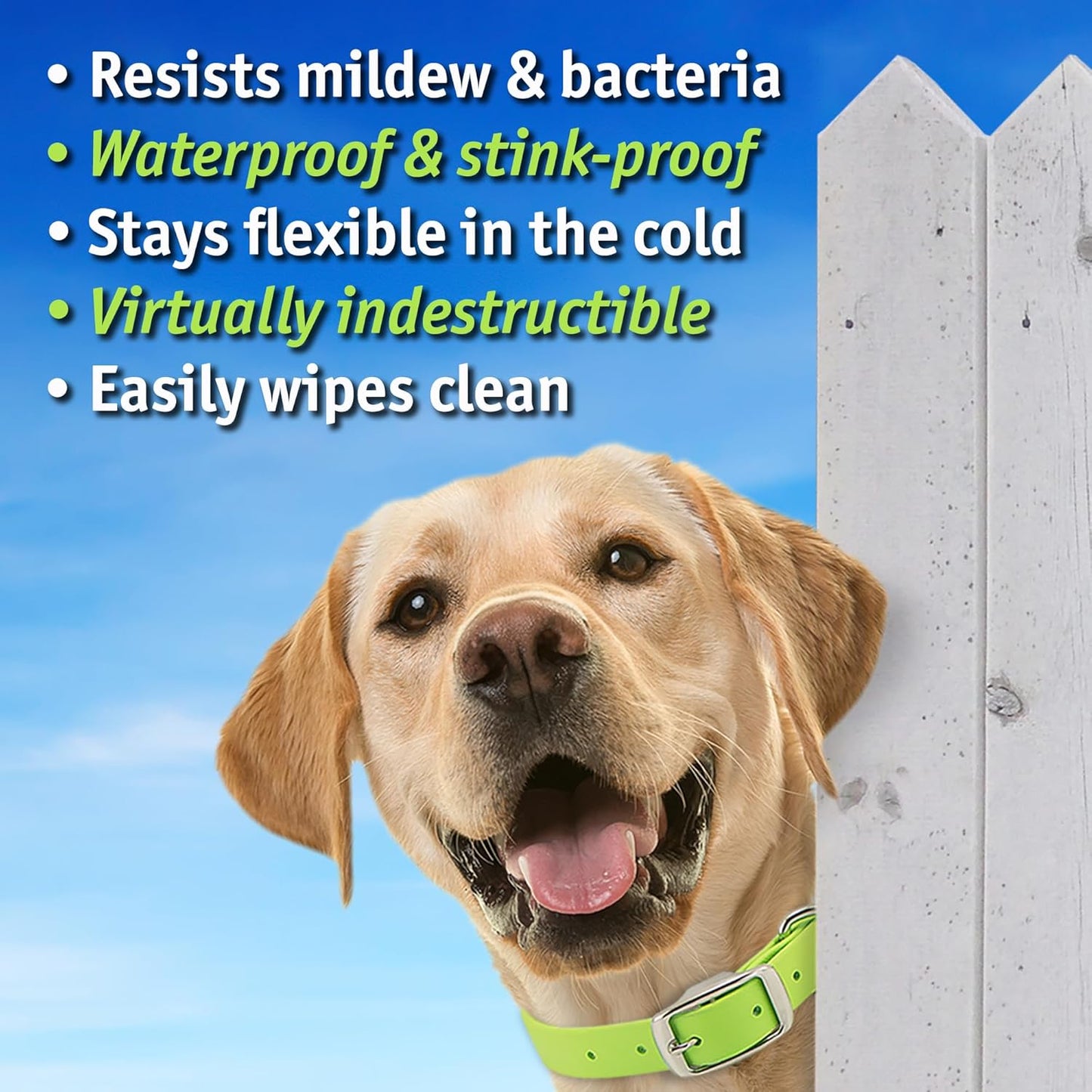 Biothane Custom Dog Collar – Waterproof, Stink-Proof Personalized Collar with Name & Phone Number – Durable, Many Sizes and Colors – Assembled in USA (Sky Blue)