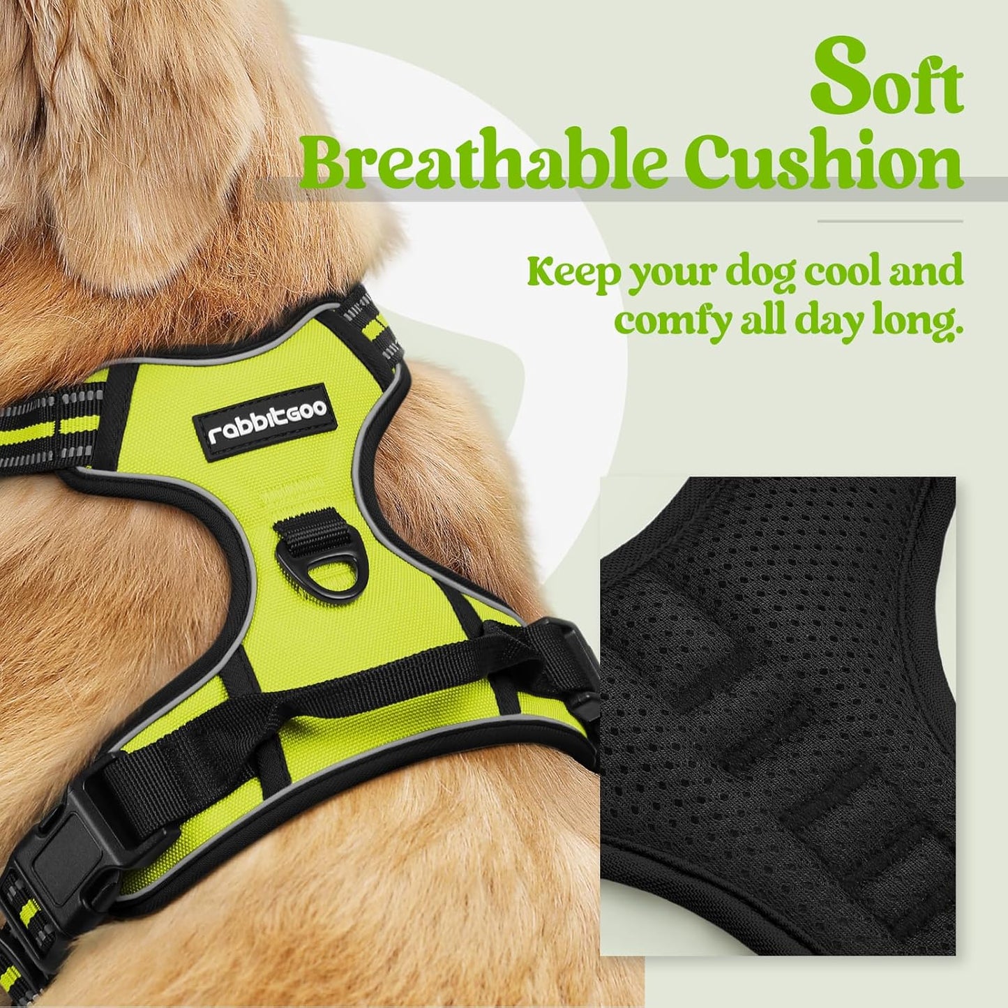 rabbitgoo Dog Harness No Pull with 2 Leash Clips, Adjustable Soft Padded, Reflective Oxford No Choke Pet Vest with Easy Control Handle for Small Dogs, Wild Lime,S