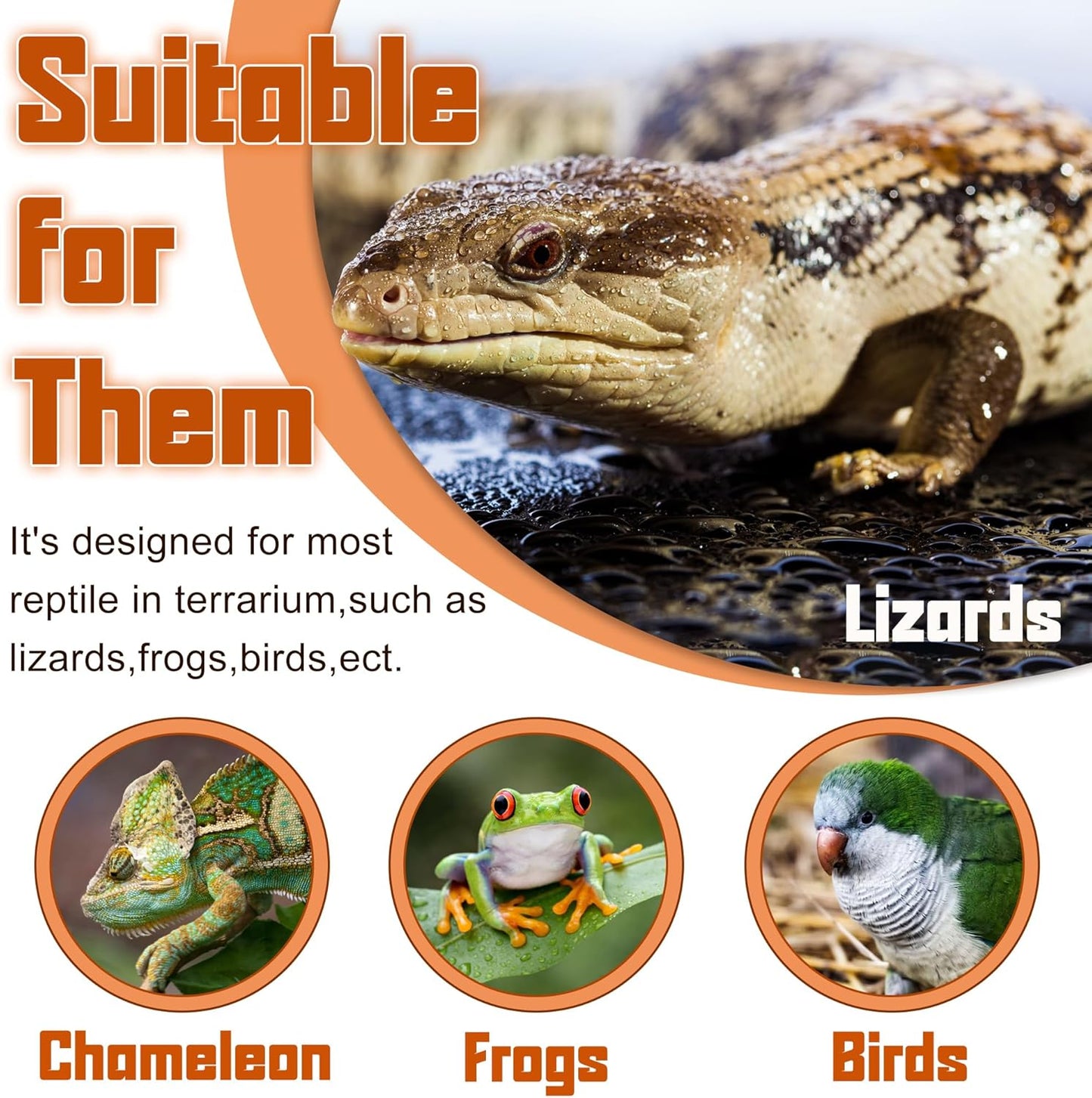 Reptile Corner Hunting Bowl - Glass Mount Insect Feeding Box for Reptile with Suction Cup which is Super Tight, Green, 6.29inch - M Size