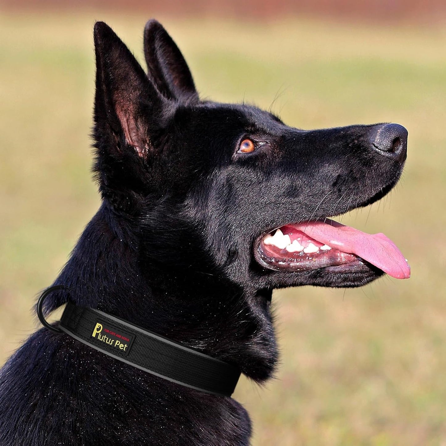 Plutus Pet Tactical Dog Collar, Reflective, Adjustable Heavy Duty Dog Collar, Soft Padded and Comfortable, for Small Medium and Large Dogs (Black, S)