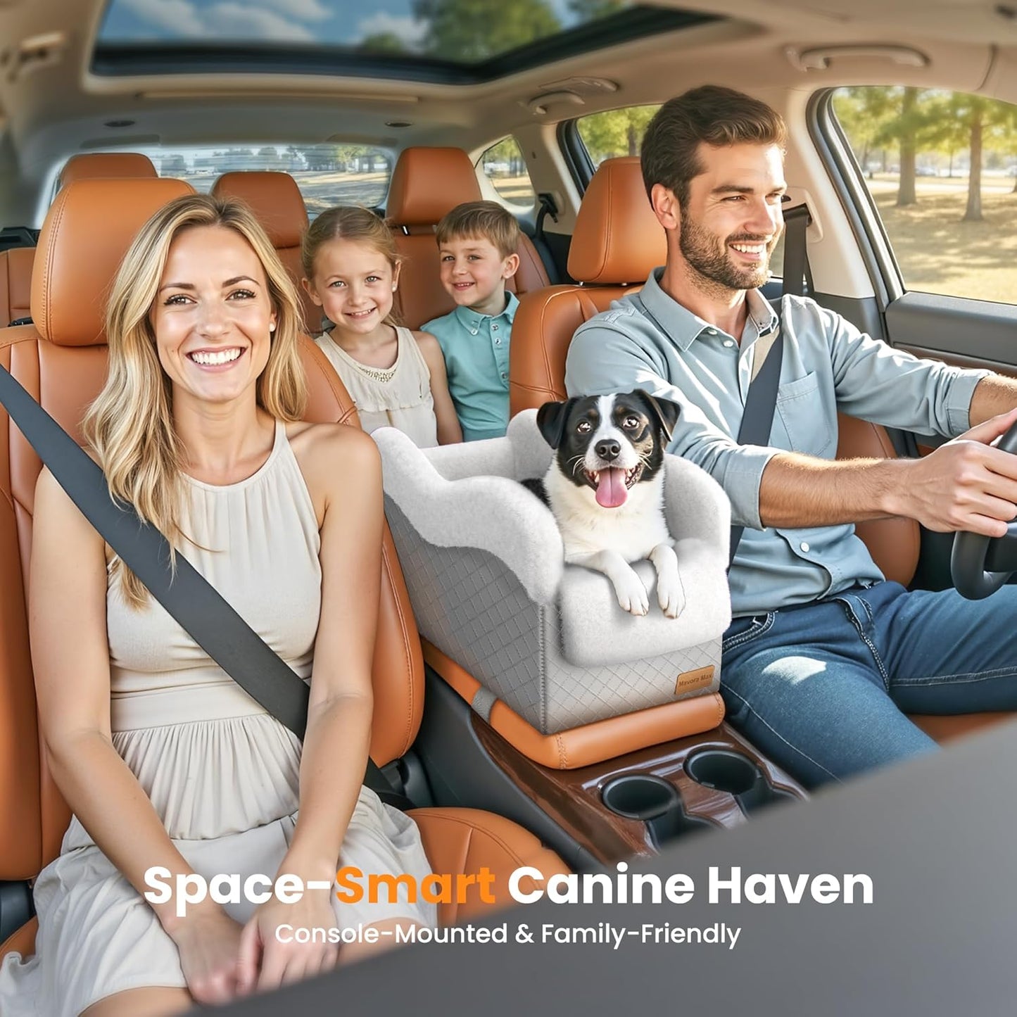 Portable Small Dog Seat for Car,Luxury Center Console Dog Car Seat Booster with Safety Tethers,Auti-Collapse Pet Travel Carrier for SUV,Truck.(Light Grey/White)