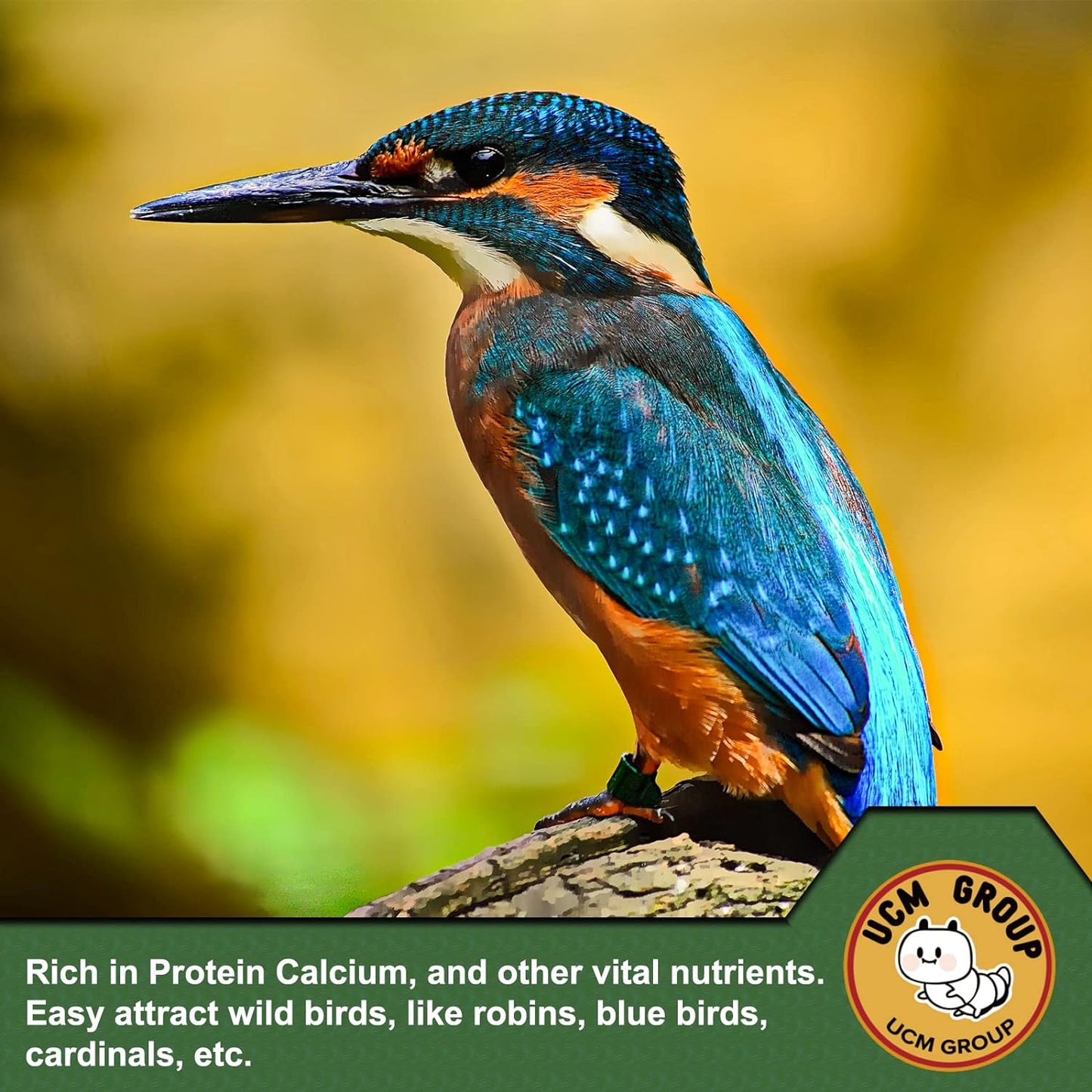 UCM Group 5LB Dried mealworms for Wild Birds, Chickens, High Protein Organic Chicken Feed, 100% Non-GMO for Chickens, Ducks, Turtles and Reptiles