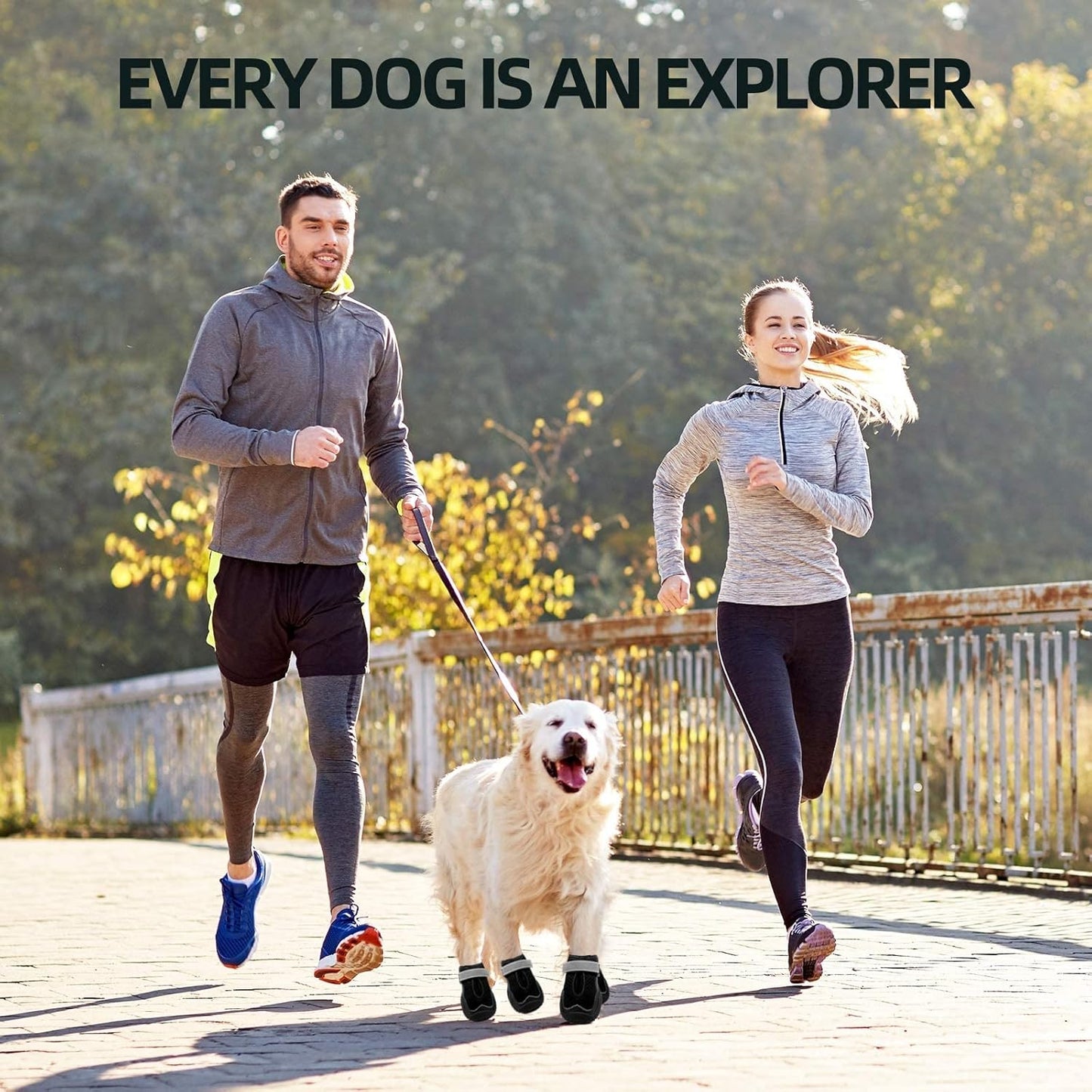 Hcpet Dog Boots for Large Dogs, Dog Shoes for Hot Pavement Winter Snow, Paw Protector Dog Booties Designed for Comfort and Breathability, Outdoor Booties for Small Medium Dogs for Hiking Black Size 1