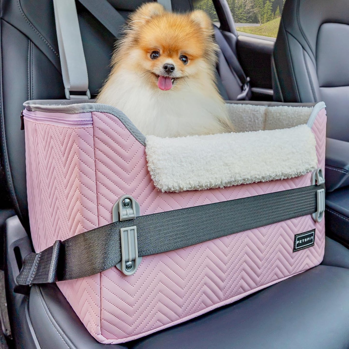 PETSFIT Dog Car Seats for Small Dogs, Portable Puppy Car Saet for Car with Clip-On Leash, Adjustable Straps Suitable for Small Pets Up to 25lbs (Light Pink)