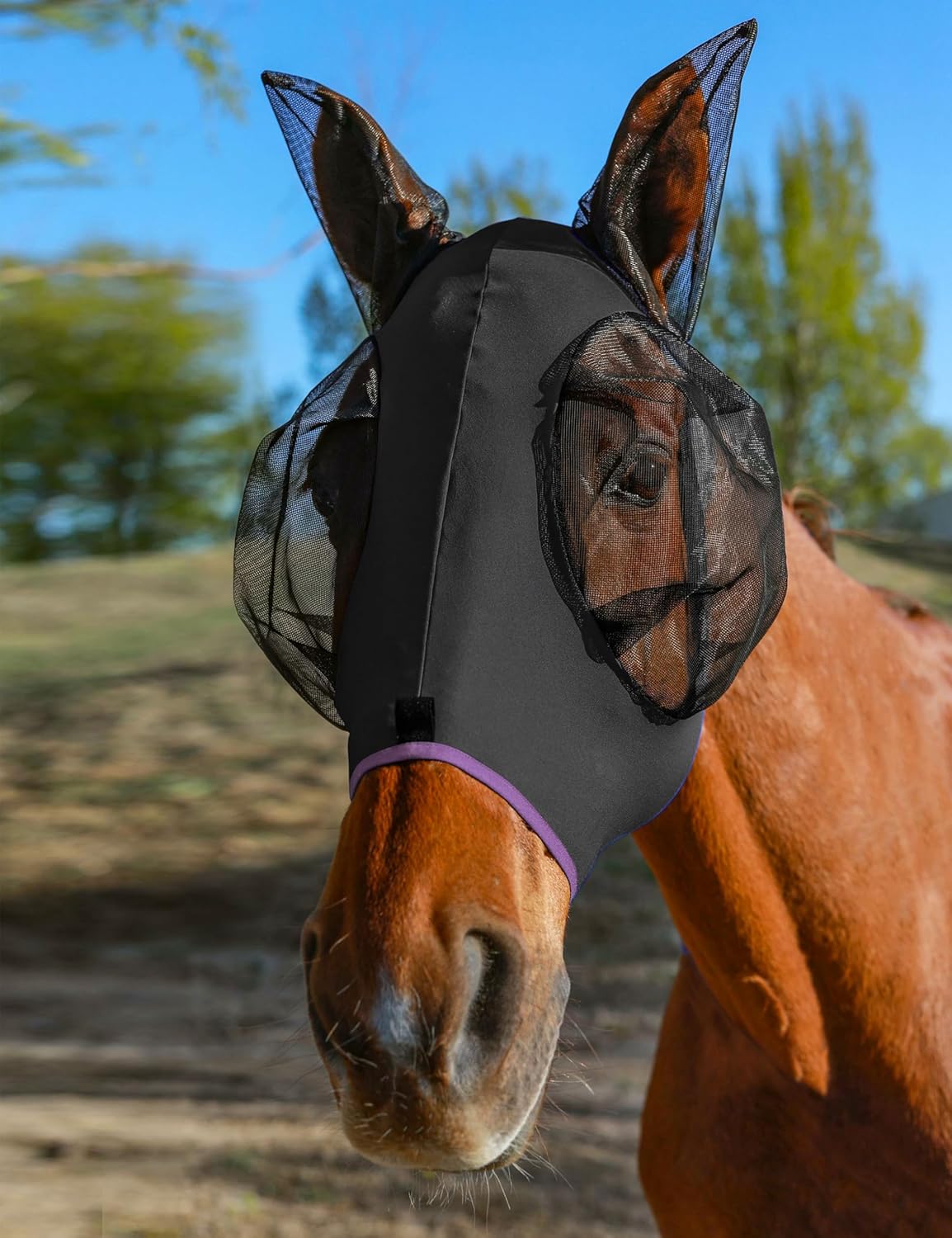 Horse Fly Mask with Ears, UV Protection for Horses, Elasticity with Big Mesh Eye Covers, Snug Fitting Comfortable Breathable Lightweight for Horses Black Cob