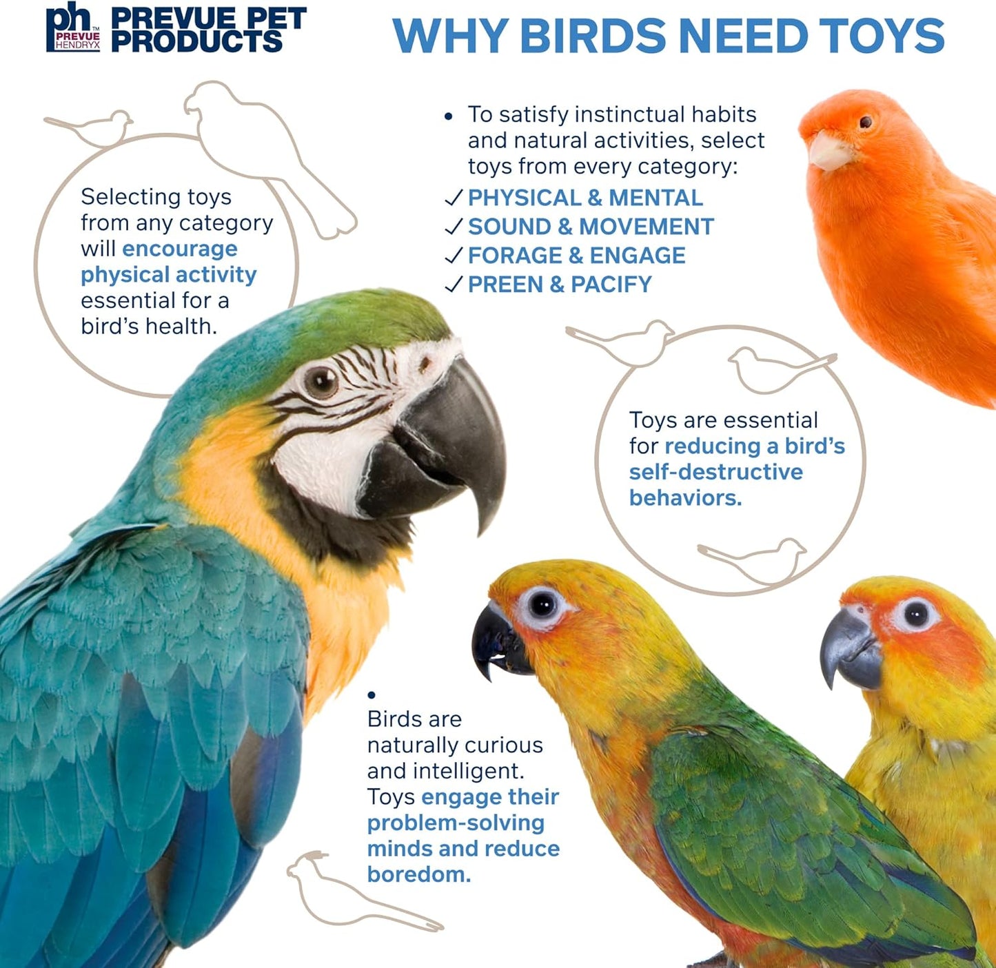 Prevue Pet Products 62607 Calypso Creations Dagwood Bird Toy, Multicolor