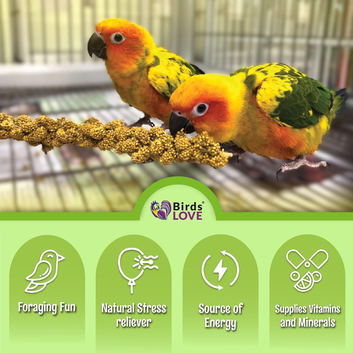 Birds LOVE French Kissed Spray Millet for Birds - Parakeets, Cockatiels, Lovebirds, Finches, Budgies, Canaries, Cockatoos - Natural & Healthy Bird Millet - Parakeet Food & Treats for All Parrots 5lbs