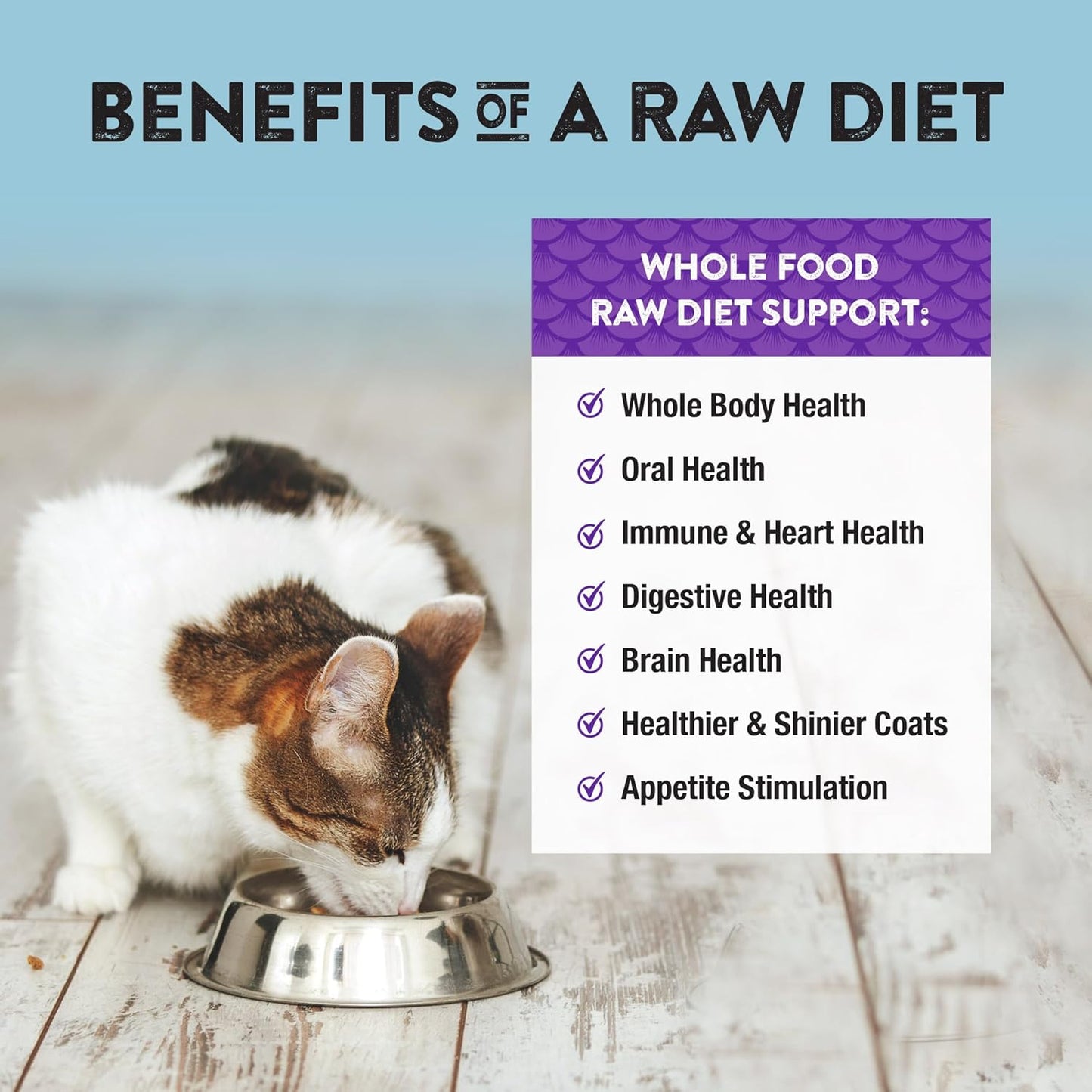 Northwest Naturals Freeze-Dried Whitefish Cat & Kitten Food – Bite-Sized Nibbles, Healthy, Limited, Human-Grade Ingredients, All-Natural, High-Protein Raw Diet, Complete & Balanced, 11 oz (Pack of 3)