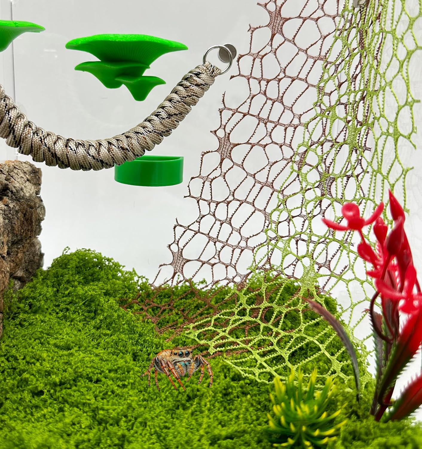 6 PCS Jumping Spider Habitat Accessories-Jumping Spider Webbed Moss Ribbon with Magnets for Spoods Jumping Spider Enclosure Spoods Climbing (3pcs Green + 3pcs Brown)