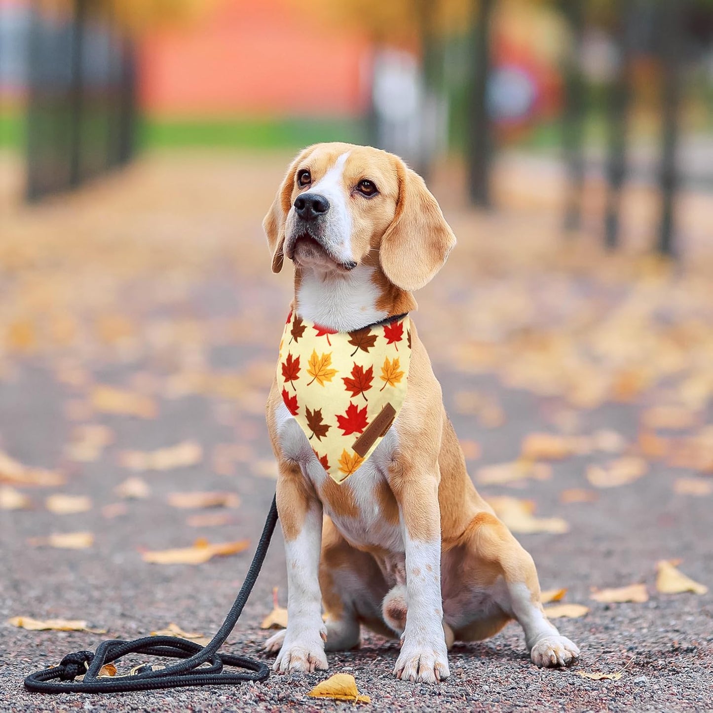Realeaf Fall Dog Bandanas 2 Pack, Orange Pumpkin and Leaf Print Pet Scarf for Boy and Girl, Premium Durable Fabric, Holiday Bandana for Medium and Large Dogs (Large)