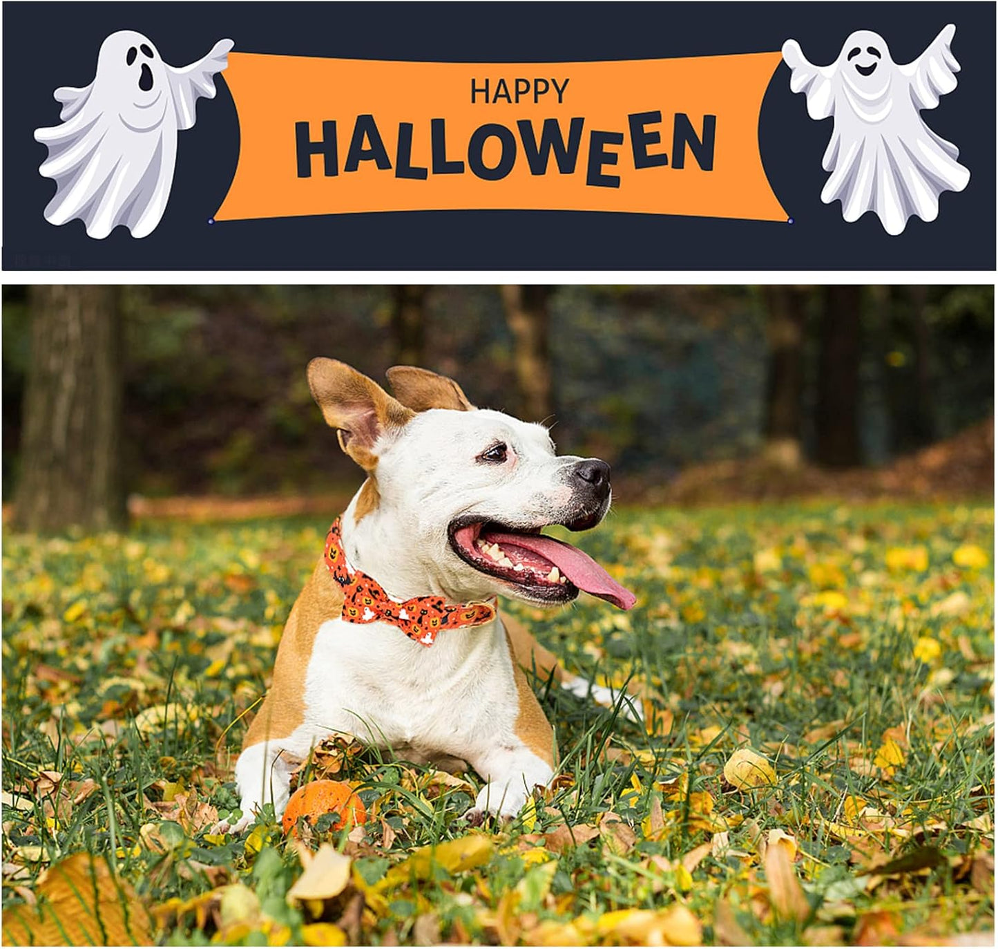 Unique style paws Halloween Dog Collar with Bow Tie Cotton Adjustable Puppy Collar for Small Medium Large Dogs-L