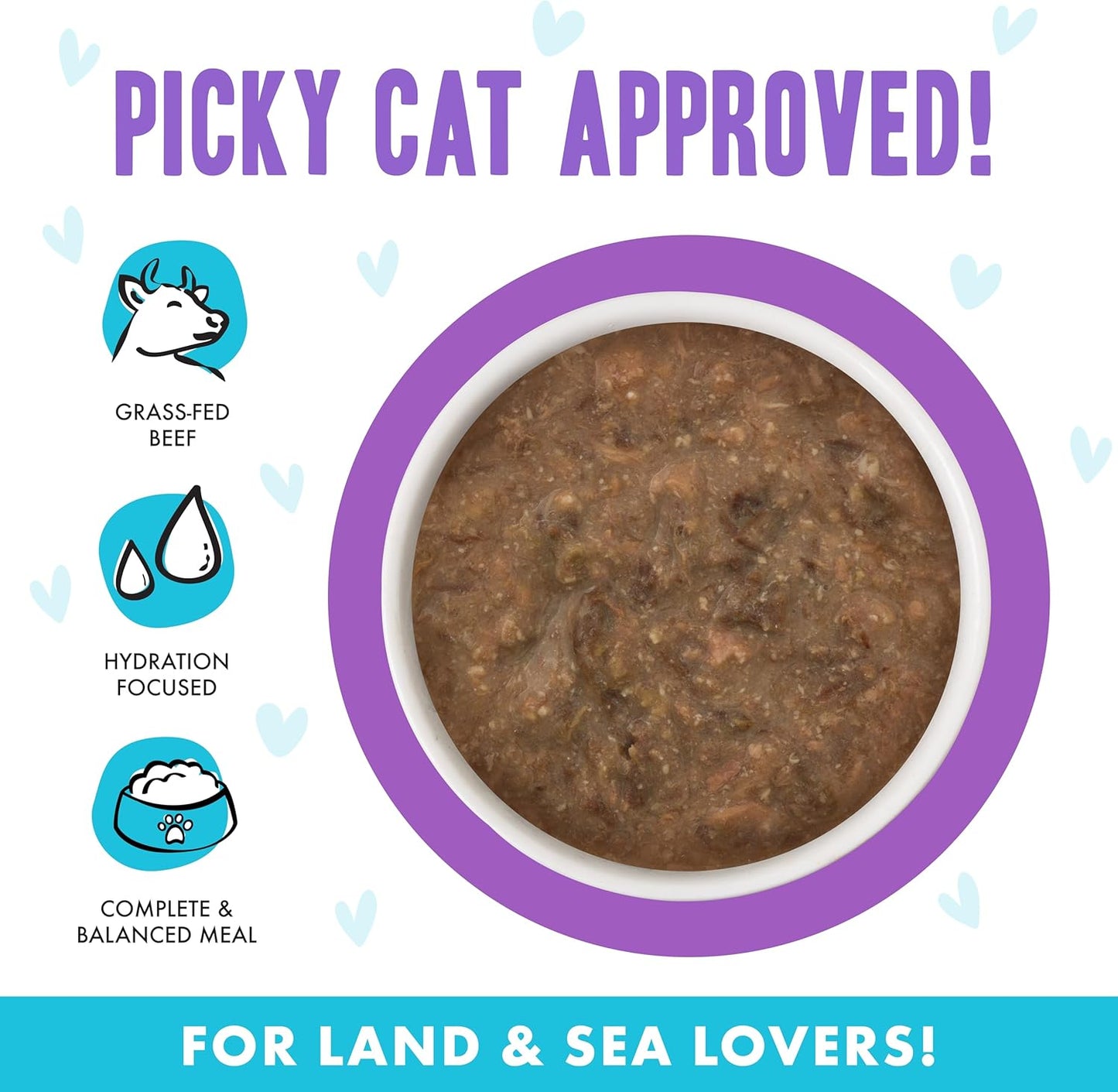 Weruva B.F.F. OMG - Best Feline Friend Oh My Gravy!, Best Day Eva! with Beef & Salmon in Gravy Cat Food, 5.5oz Can (Pack of 8)