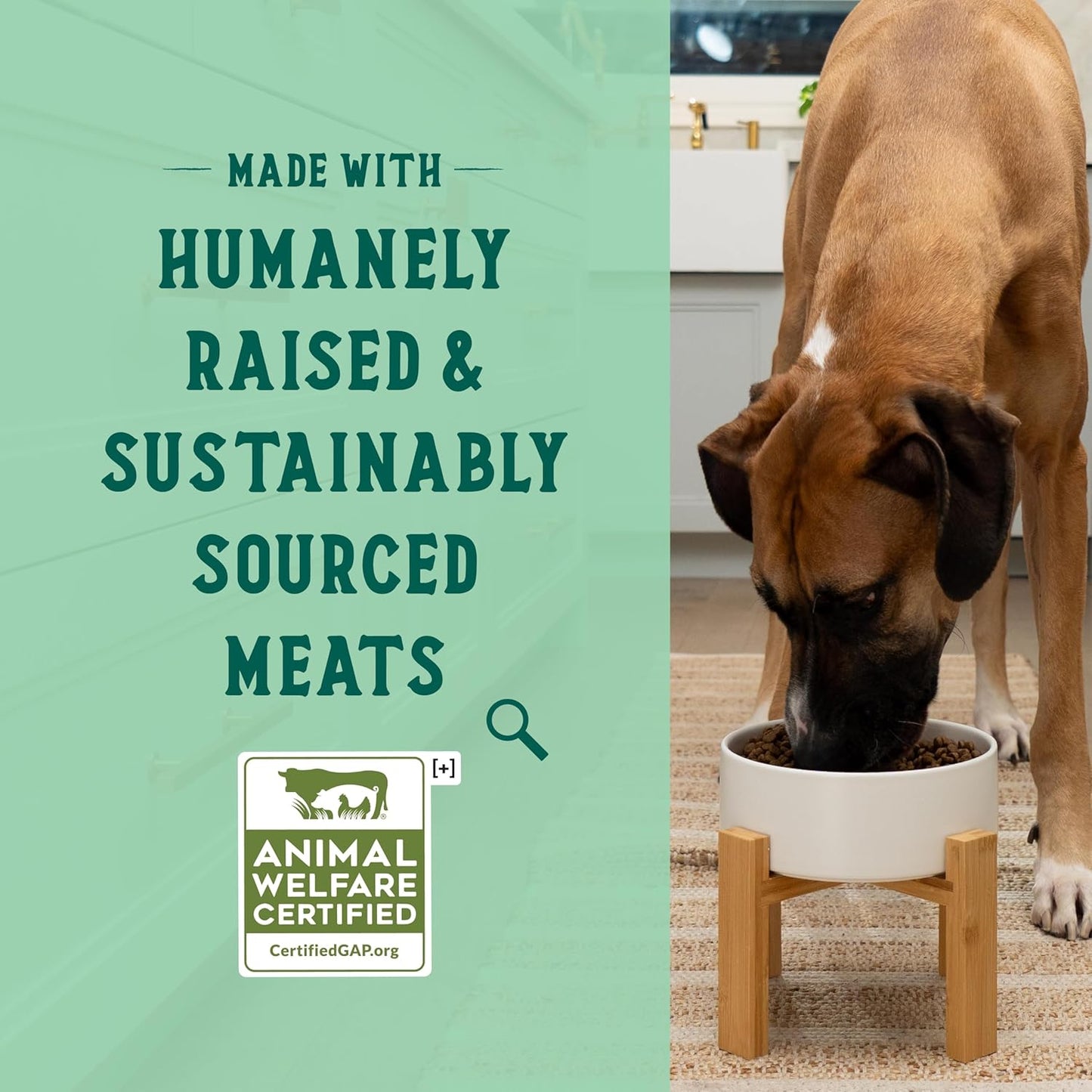 Open Farm Goodbowl, Oven-Baked Small Batch Dry Dog Food - Harvest Chicken & Brown Rice Recipe, Includes Non-GMO Produce & Grains, 3.5lb Bag (56oz Bag)