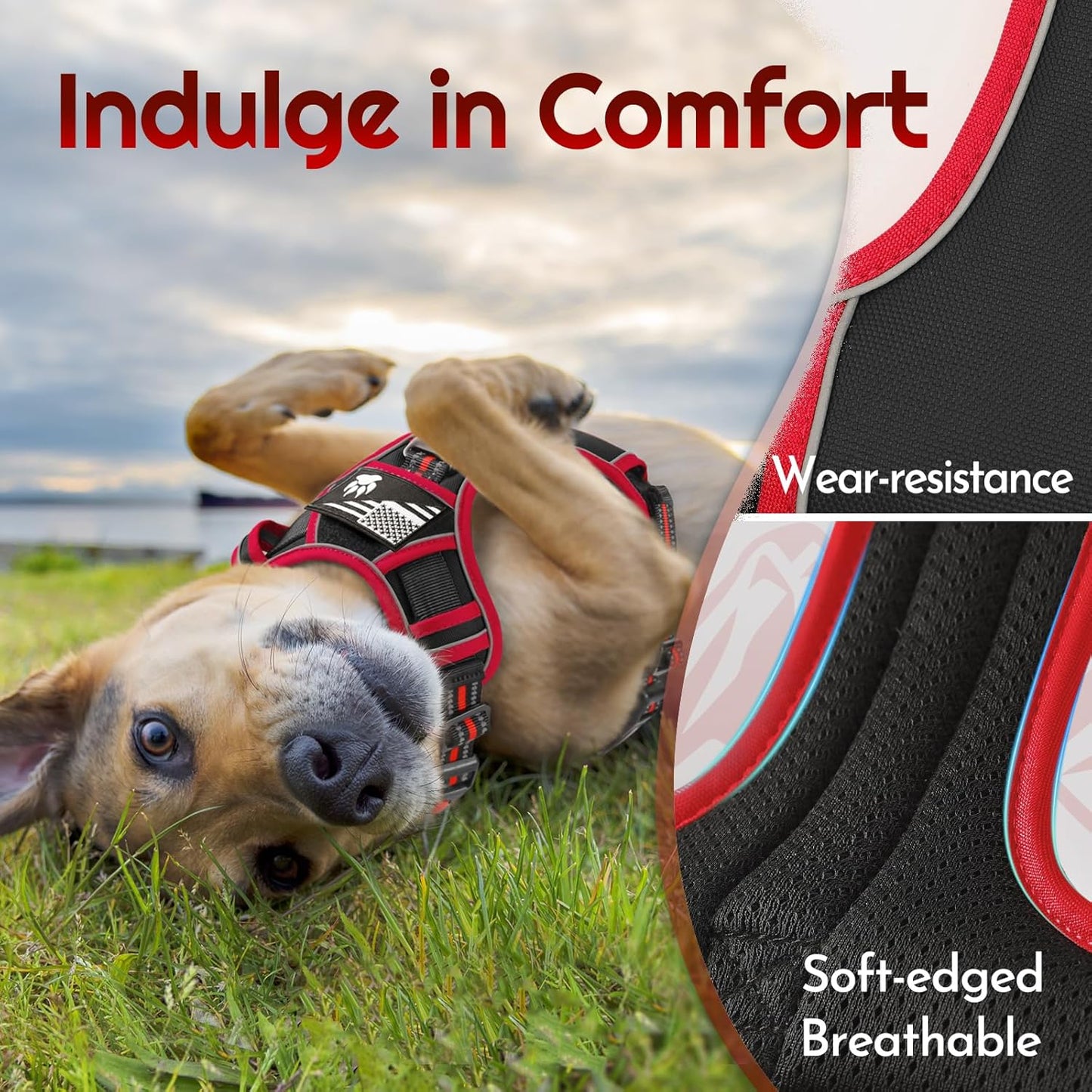 Eagloo Dog Harness for Large Dogs, Easy Wearing with 3 Buckles, Adjustable No Pull Pet Harness with 2 Rings for Walking, No Chock Reflective Soft Padded Vest with Control Handle, Black & Red, L