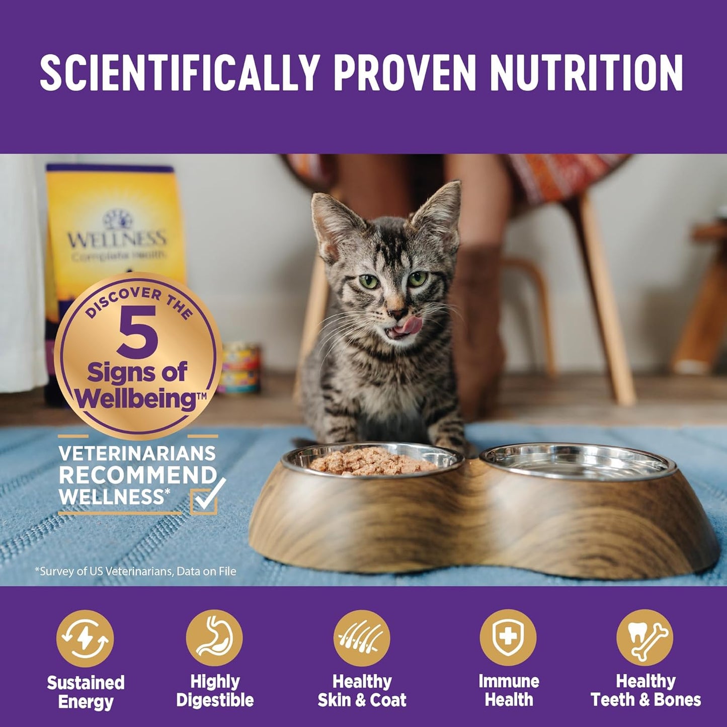 Wellness Complete Health Minced Adult Wet Cat Food, Natural, Protein-Rich, Grain Free, 3 Ounce, 24 Pack, (Tuna Entrée)