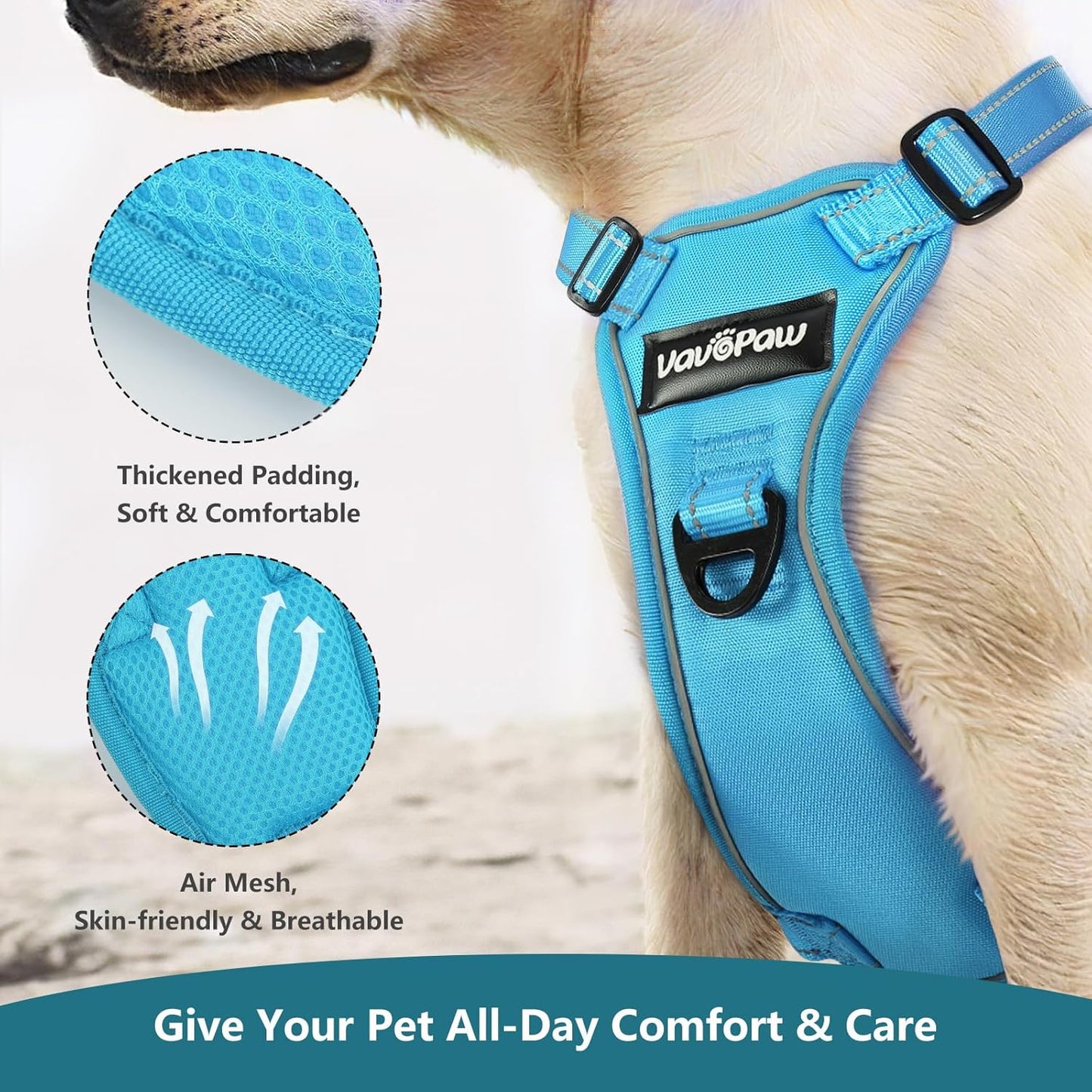 Dog Seat Belt Harness for Car, Dog Car Harness Adjustable Mesh Breathable & Dogs Seatbelt Safety Tether with Elastic Bungee for Small Medium Large Pets(Blue, L)