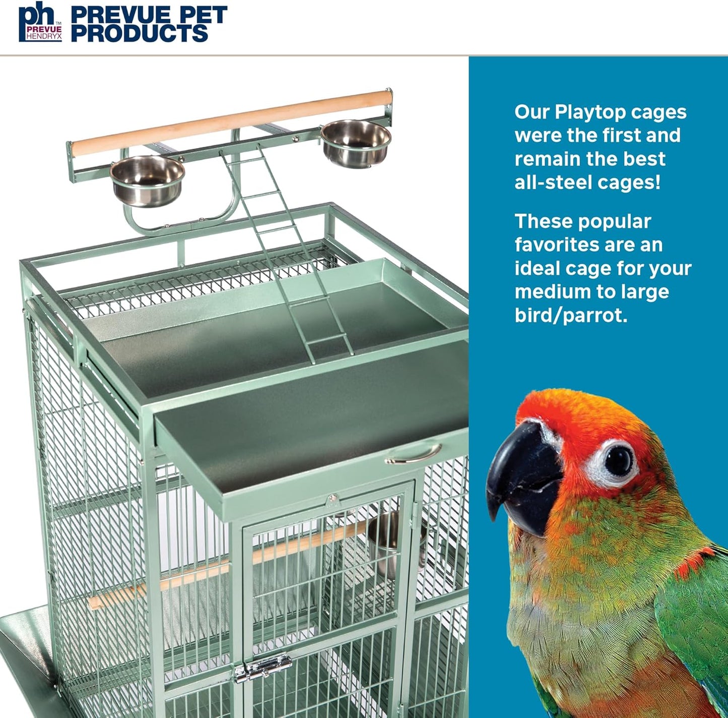Prevue Pet Products Wrought Iron Select Bird Cage 3152SAGE Sage Green, 24-Inch by 20-Inch by 60-Inch