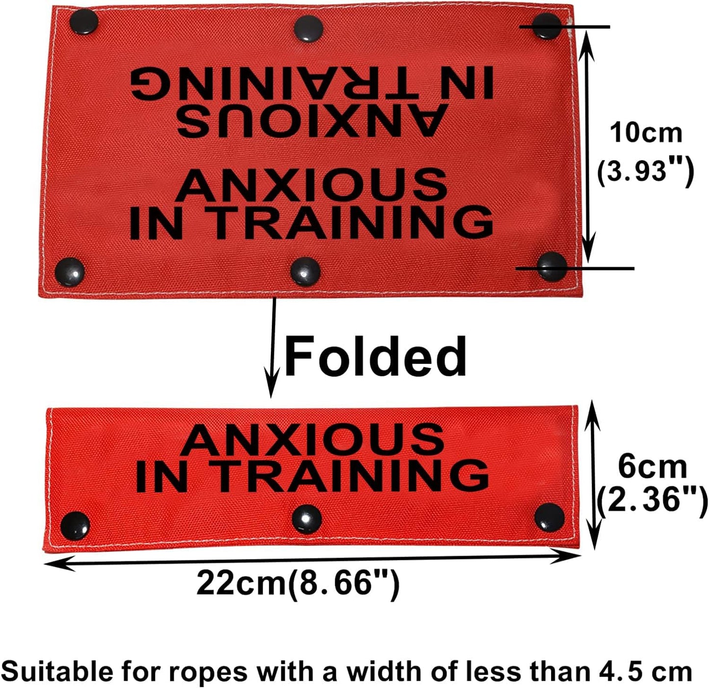 Funny Dog Leash Sleeve Have Anxious in Training Dog Leash Wrap Sleeve Pet Birthday Gift (Anxious in Training-Sleeve)