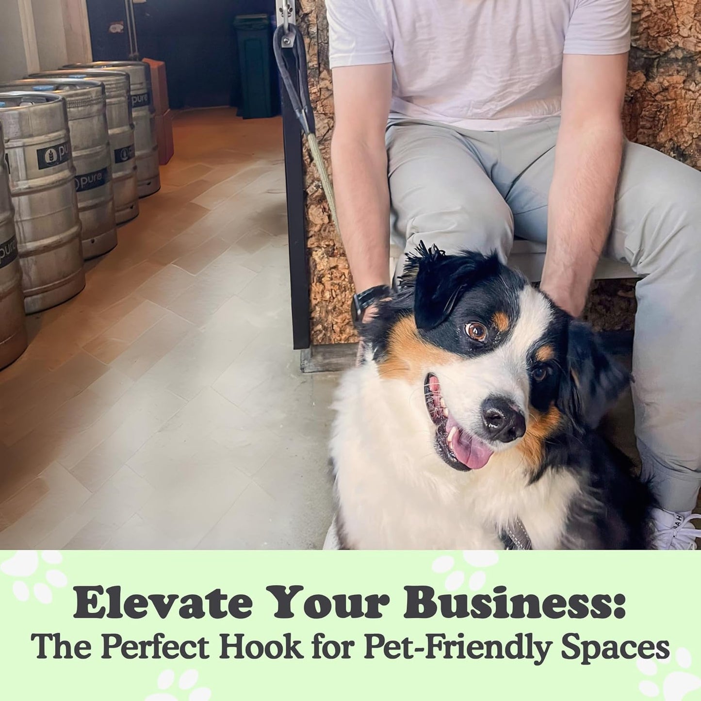 Canine Hitch- Secure Dog Leash Parking Mounted Indoor – Outdoor Wall Hook - Tie Out Stainless Steel Practical Lead Management for Home & Business, Standard Size