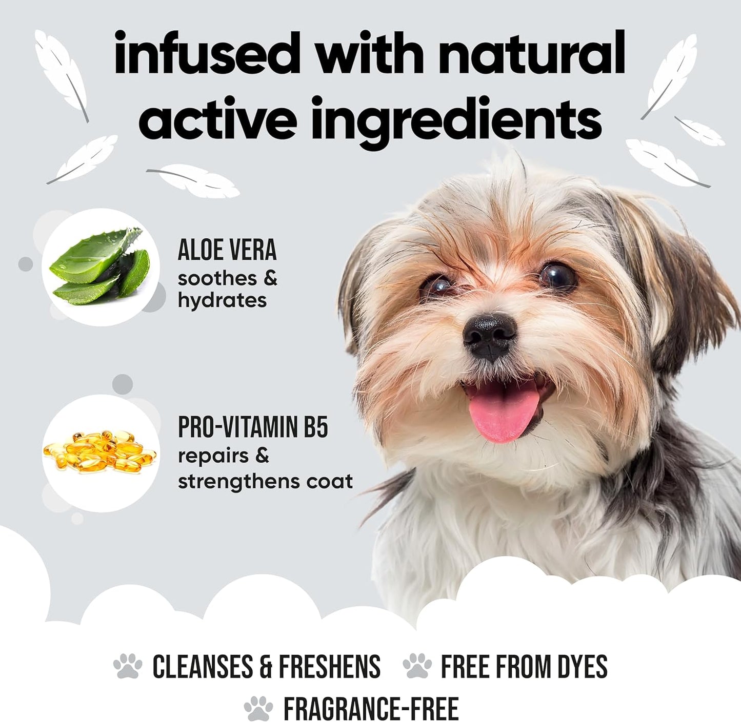 Derma Sensitive Dog Shampoo by Buddycare | Dry Skin & Itchy Skin Relief for Smelly Dogs | Deep Cleansing for Dogs Puppy Sensitive Skin | Dog Shampoo & Conditioner | with Aloe & Vitamin B5 (16.90oz)