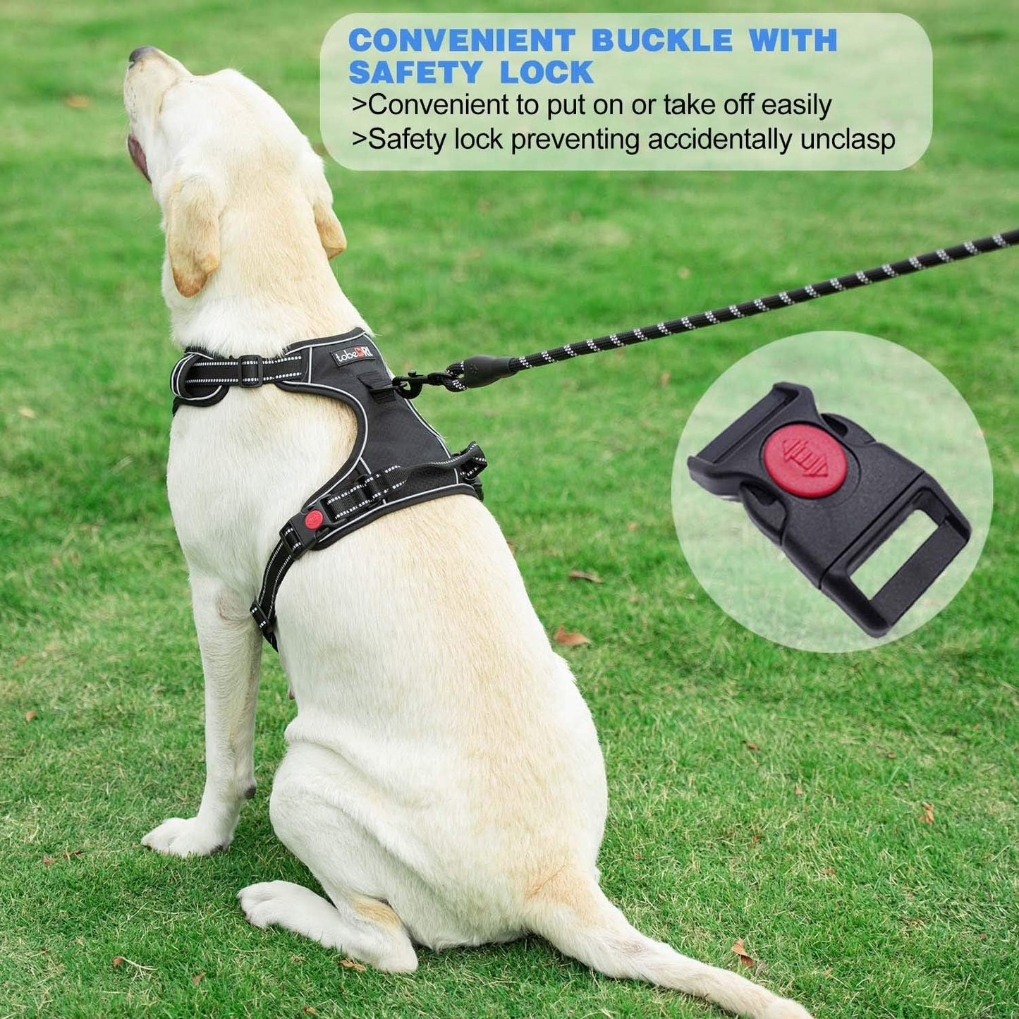 No Pull Dog Harness Adjustable Reflective Oxford Easy Control Medium Large Dog Harness with A Free Heavy Duty 5ft Dog Leash (M (Neck: 14.5"-20.5", Chest: 22"-28"), Black Harness+Leash)