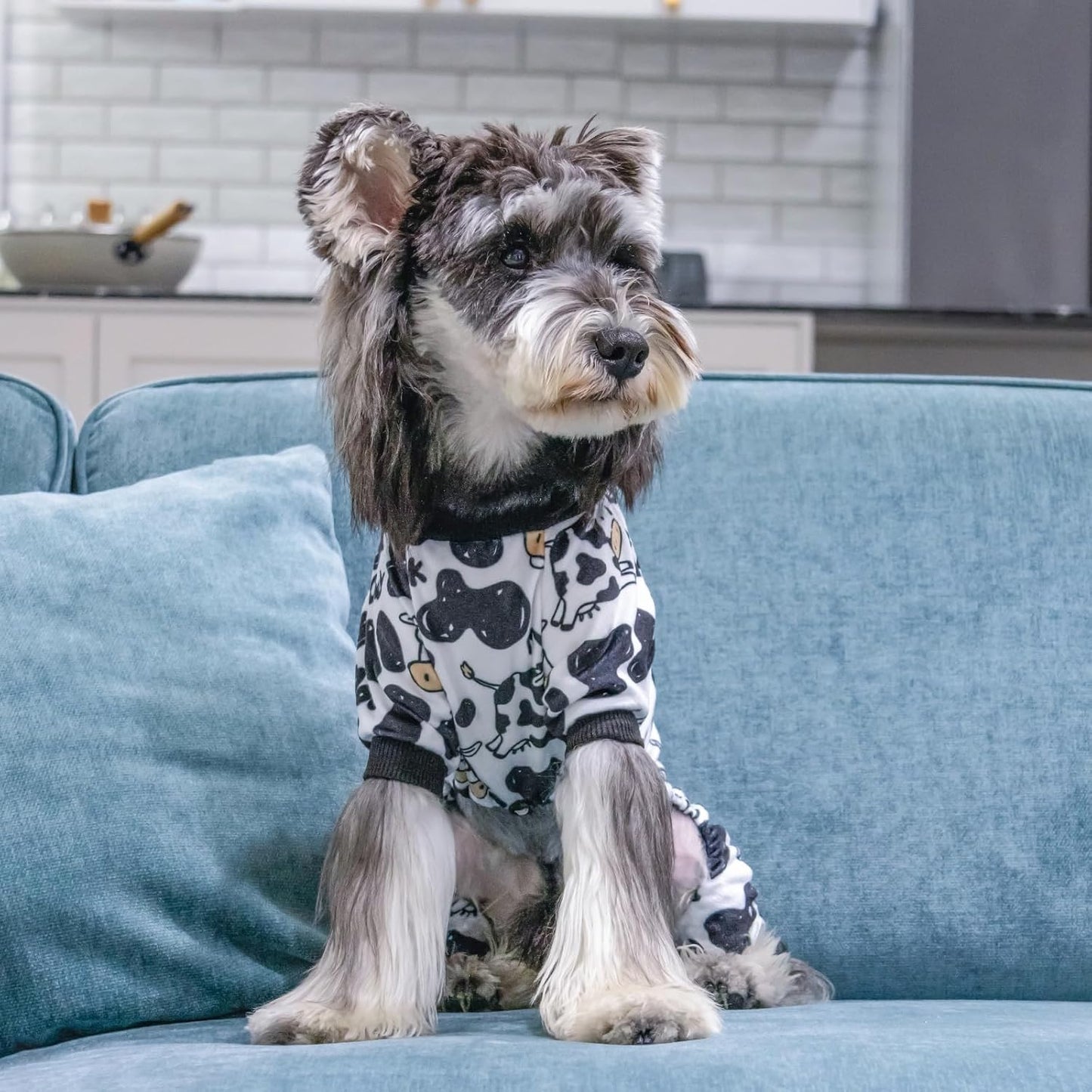 CuteBone Dog Halloween Pajamas Puppy Onesies Small Dogs Soft Pjs Coat Cat Apparel Comfy Pet Christmas Clothes Outfit Doggie Bodysuit P281XL