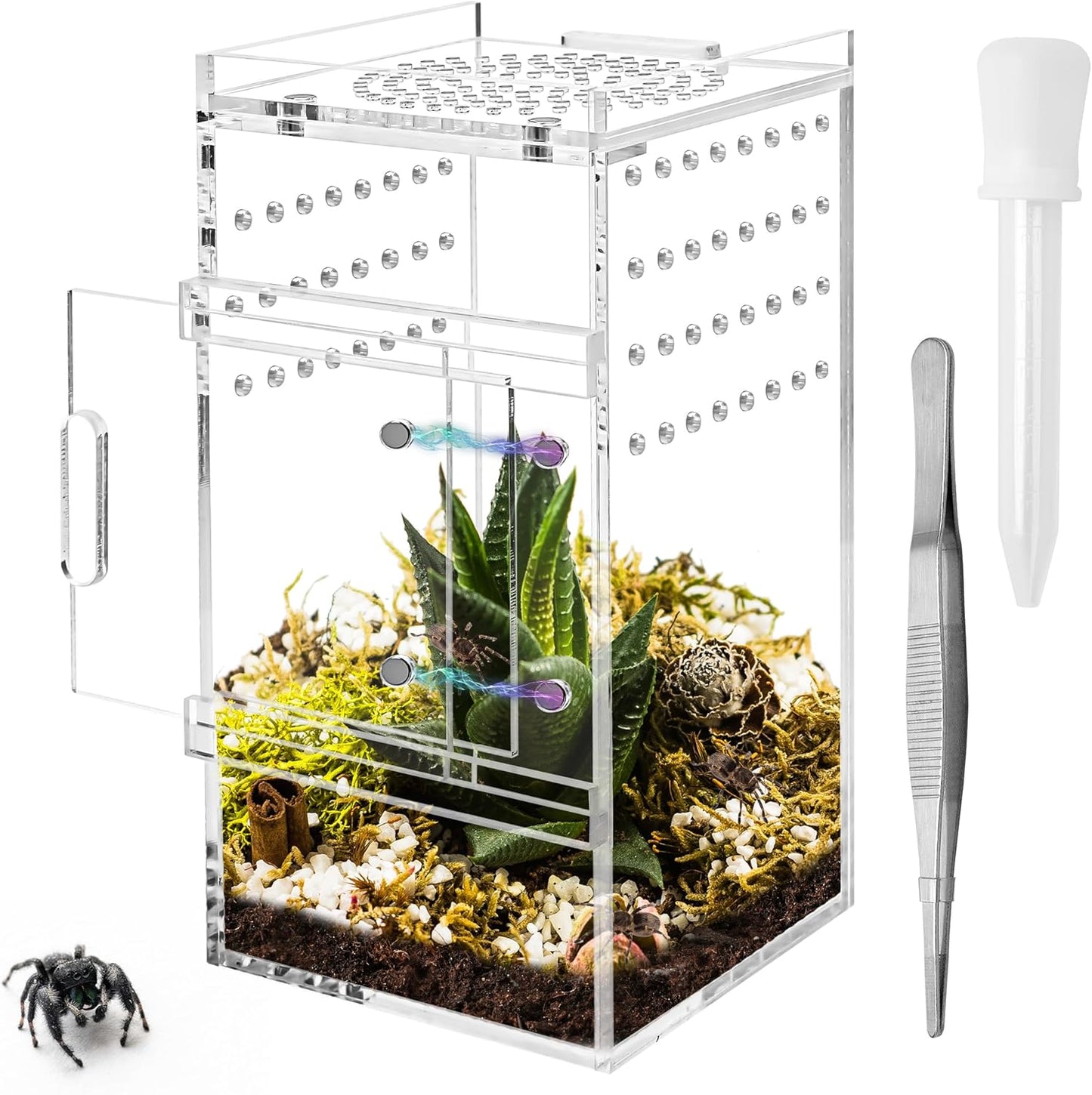 Jumping Spider Enclosure, 3x3x6 Inch Jumping Spider Habitat with Magnet Opening Door Jumping Spider Accessories Small Acrylic Terrarium for Tarantula and Praying Mantis