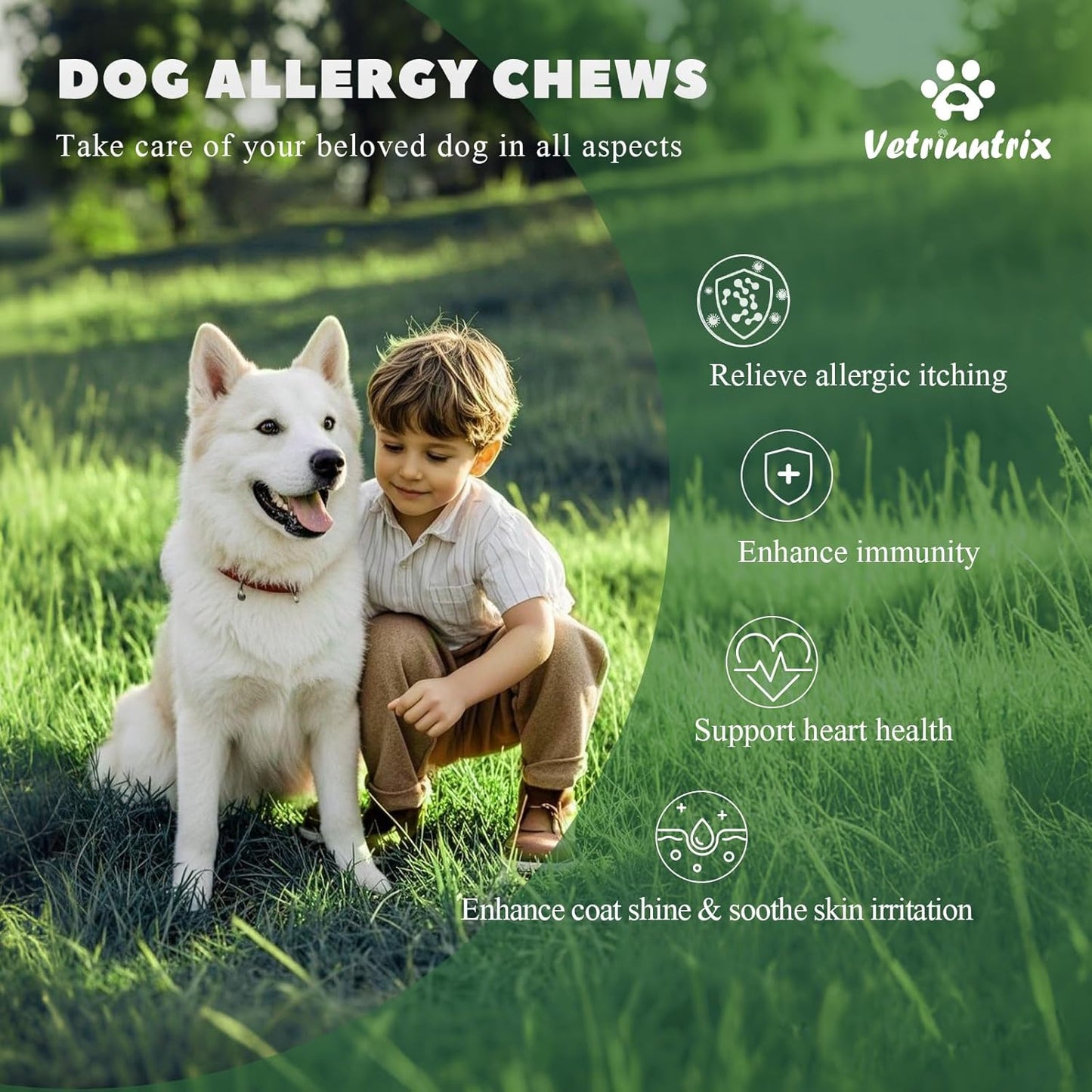 Dog Allergy Chews, Dogs Allergy Relief Chews for Paw Licking Itchy Skin Coat Supplement, Probiotics for Dogs with Colostrum Omega-3 Astragalus Immune Supplement-30ct