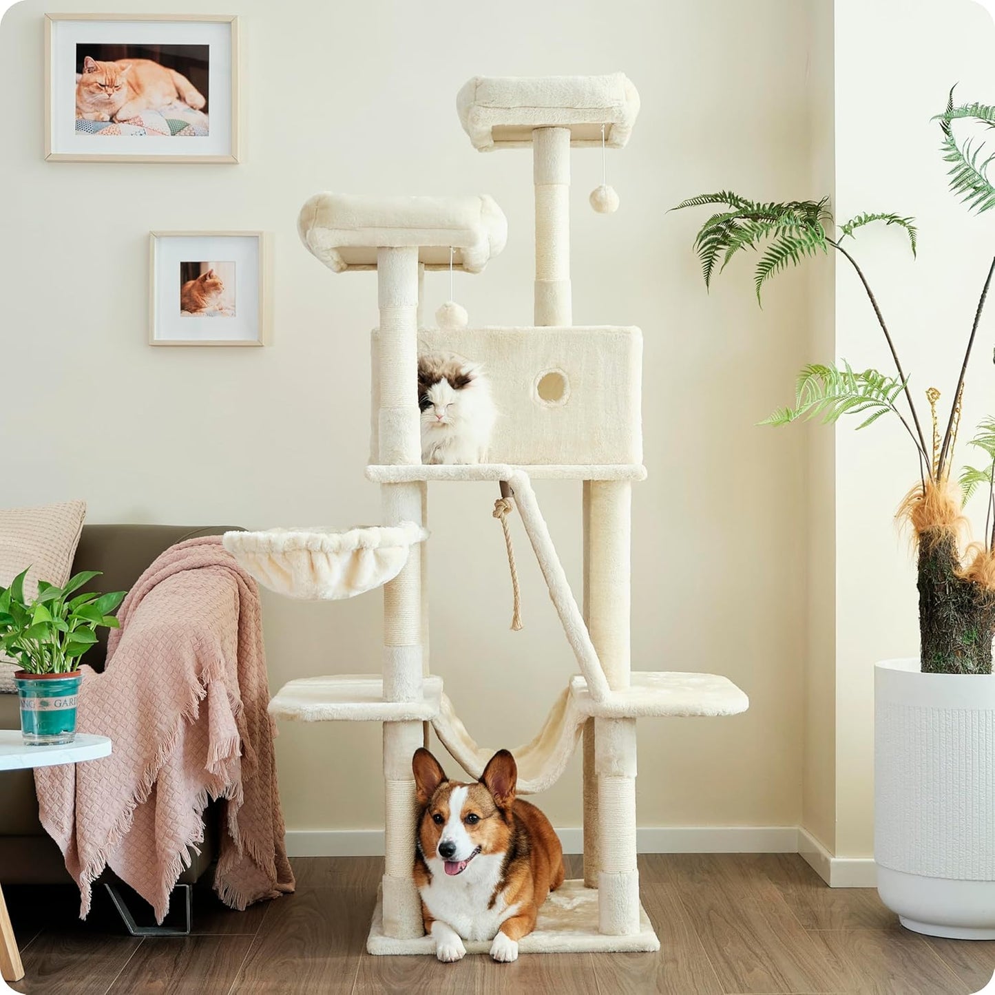Ouritsu Cat Tree, 61 inch Tall Cat Tower for Large Cat Indoor, Enlarged Condo, 2 Padded Perches with 1 Widened, Large Hammock, Scratching Post and ramp, Fluffy Basket, Beige, LF002WH