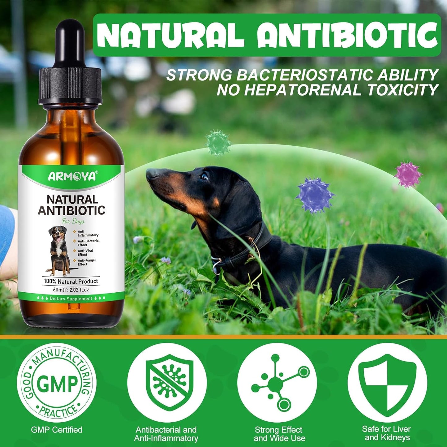 Natural Antibiotics for Dogs - Dog Antibiotics - Antibiotics for Dogs - Pet Antibiotics - Natural Antibiotics for Dogs - Organic Ingredients - Dog Multivitamin 60ml