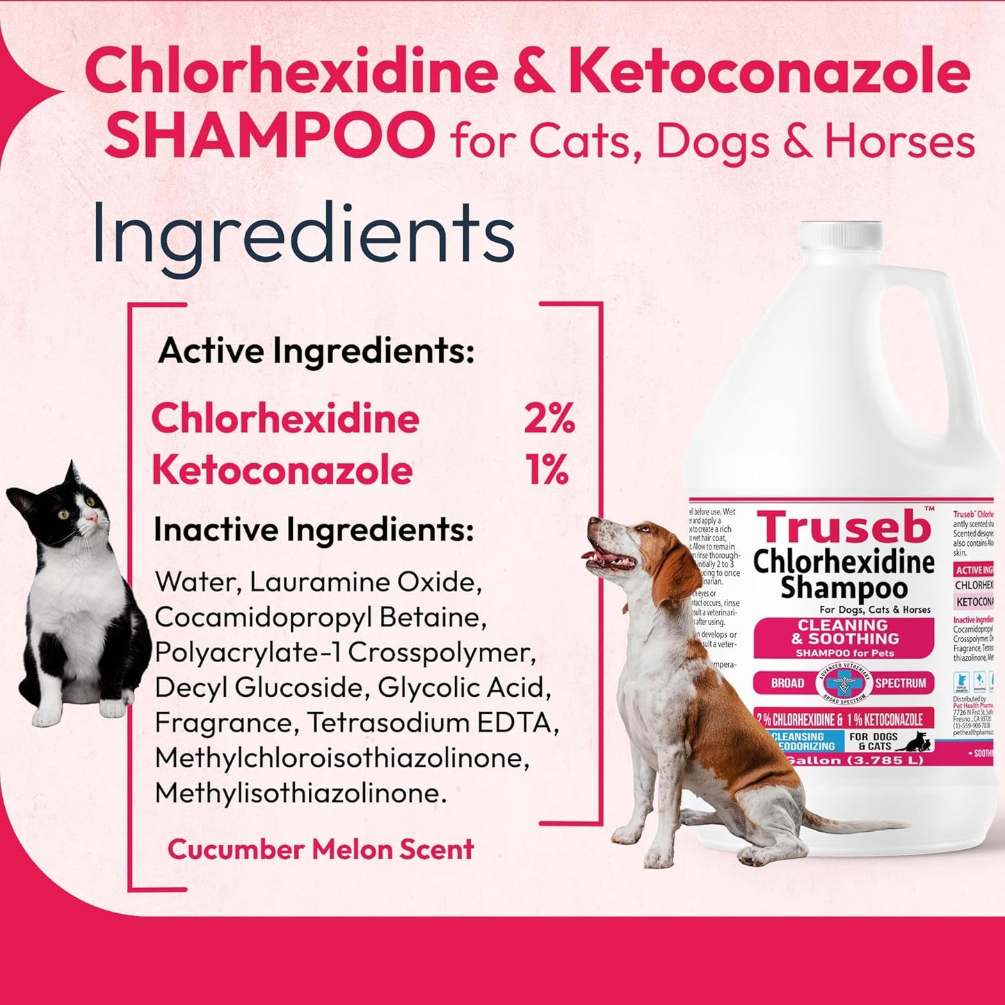 Truseb Topical Ketoconazole and Chlorhexidine Shampoo for Dogs, Cats & Horses Pleasantly Scented with a Cucumber Melon Scent with Aloe (Ketoconazole & Chlorhexidine Shampoo, 1 Gallon)
