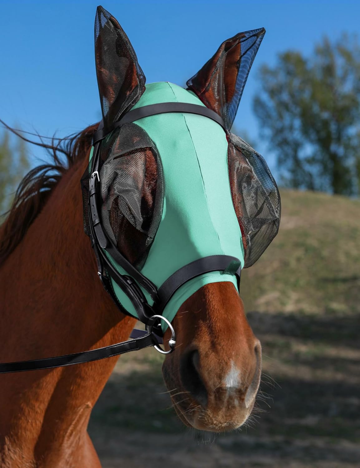 Horse Fly Mask with Ears, UV Protection for Horses, Elasticity with Big Mesh Eye Covers, Snug Fitting Comfortable Breathable Lightweight for Horses Gentle Mint Cob