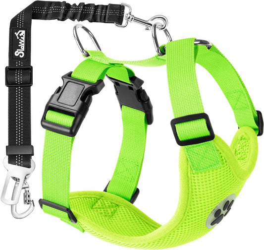 SlowTon Dog Seat Belt Harness for Car, Dog Car Harness Adjustable Mesh Breathable & Dog Seatbelt Safety Tether with Elastic Bungee for Small Medium Large Pets(Lime, Double Clip, M)