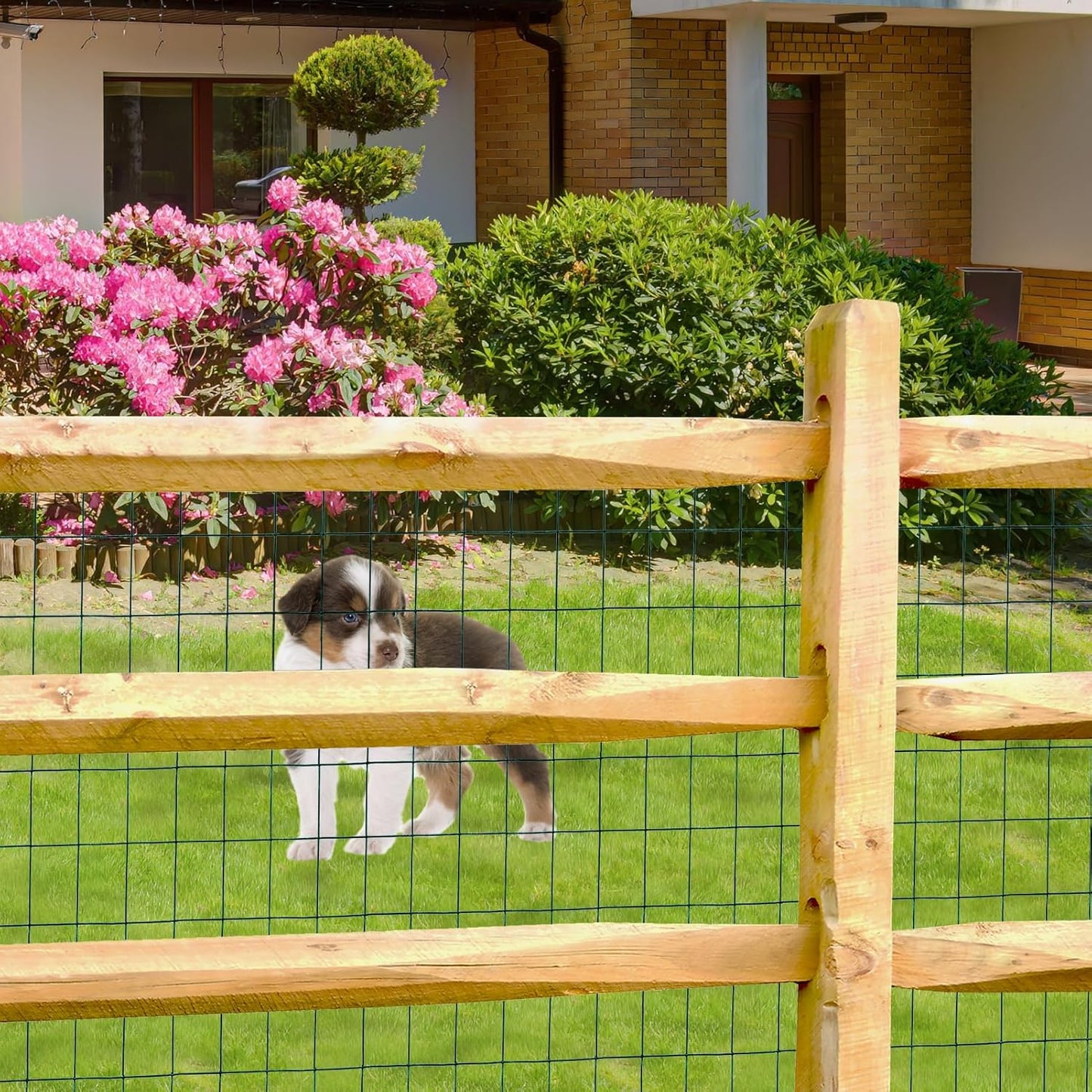 Green PVC Coated Welded Wire Fence 36 Inch x 50 Foot, 2 Inch x 3 Inch 16GA, Garden Border Fencing Roll Vinyl Coating Metal Wire Mesh for Yard Vegetable Plant Protection Poultry Netting