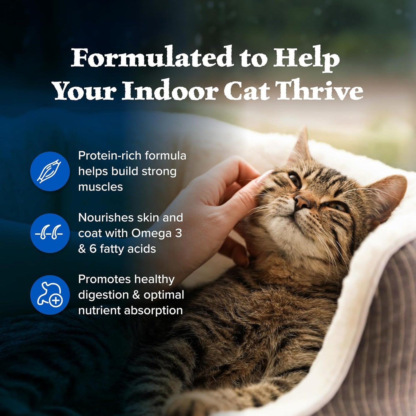 Blue Buffalo Wilderness Nature's Evolutionary Diet High-Protein, Grain-Free Natural Dry Food for Adult Cats, Chicken, 11-lb. Bag