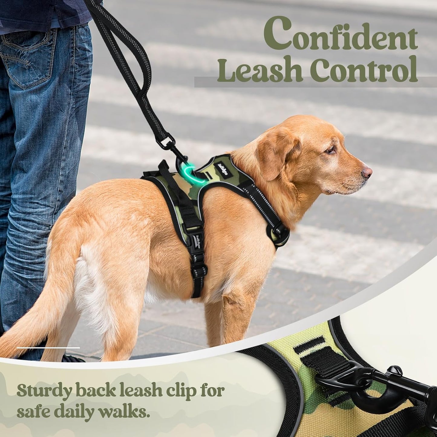 rabbitgoo Dog Harness No Pull with 2 Leash Clips, Adjustable Soft Padded, Reflective Oxford No Choke Pet Vest with Easy Control Handle for Large Dogs, Green Mountain,L