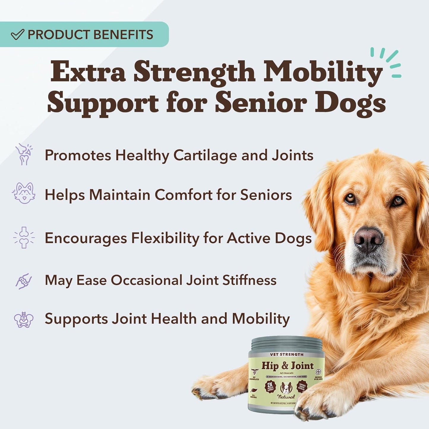 Natural Dog Company Vet Strength Hip & Joint Chews for Senior Dogs (90ct) Joint & Flexibility Support, Arthritis Relief for Senior Dogs, 1.3X Glucosamine, 2X Green Lipped Mussel & MSM for Dog Mobility