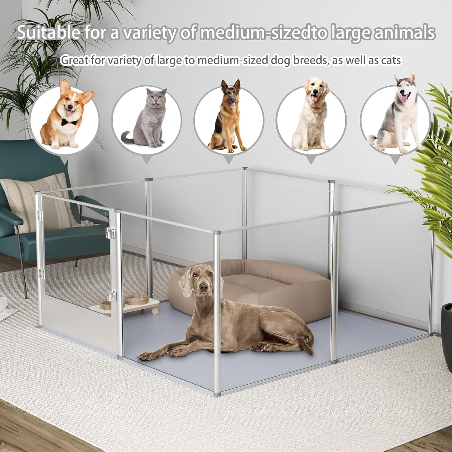 Dog Clear Playpen Fence Kennel: 32” Extra Tall Indoor Pet Birthing Cage Whelping Box with Waterproof Fertility Pad - 52”x52” Extra Large Dogs Exercise Crate Pen Made by Acrylic and Aluminum Frame