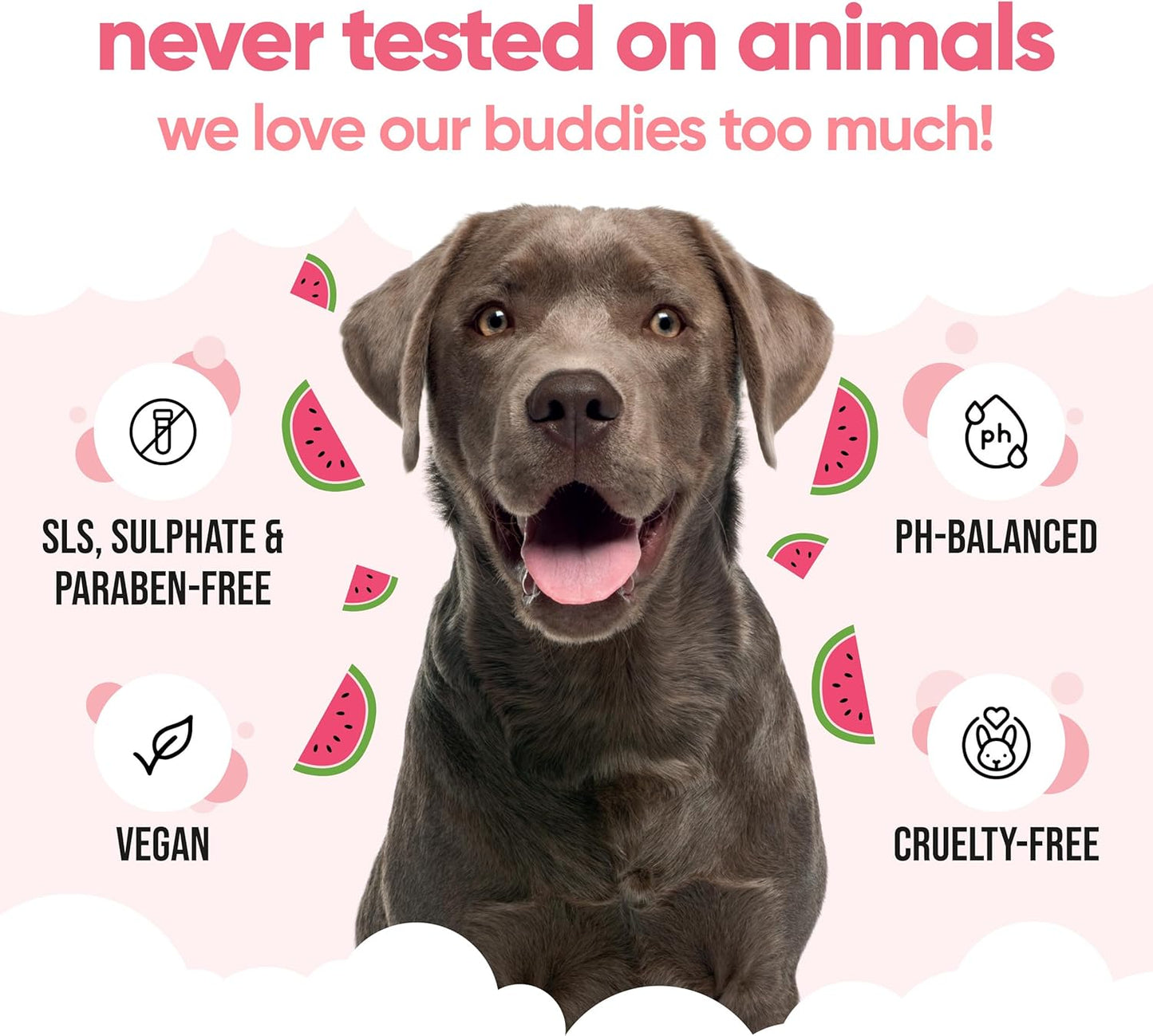 Watermelon Dog Shampoo by Buddycare | Deep Cleansing Shampoo for Dogs | Fresh Scented | with Aloe Vera and Pro Vitamin B5 (169.07oz)