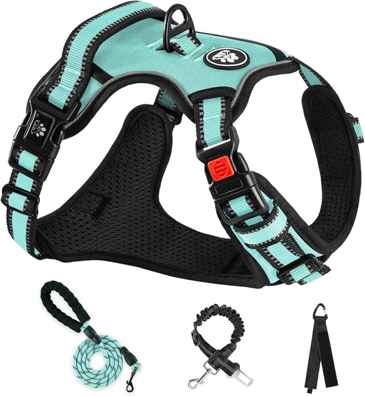 NESTROAD No Pull Dog Harness,Adjustable Oxford Dog Vest Harness with Leash,Reflective No-Choke Pet Harness with Easy Control Soft Handle for Medium Dogs(Medium,Turquoise)