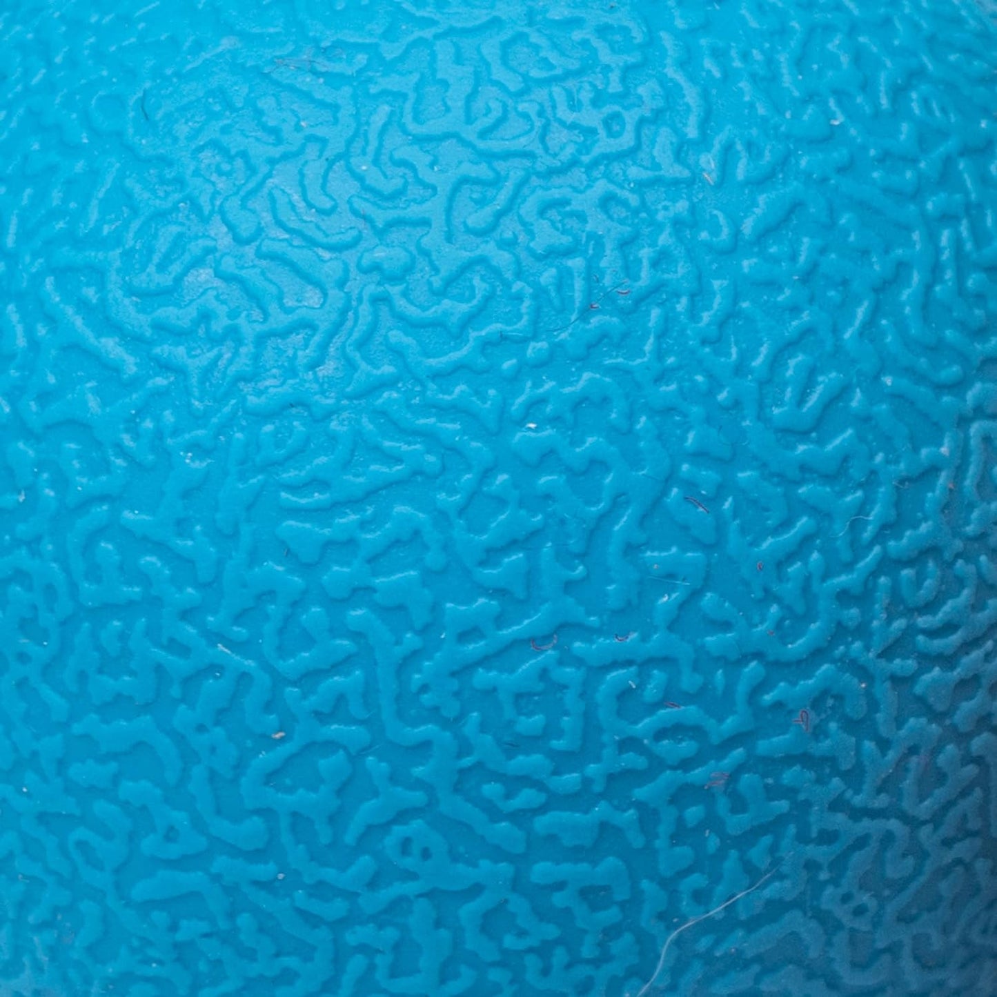 Amazon Basics Dog Toys, Interactive Fetch Rubber Balls, (Pack of 3), 2.5 inch, Blue, Orange