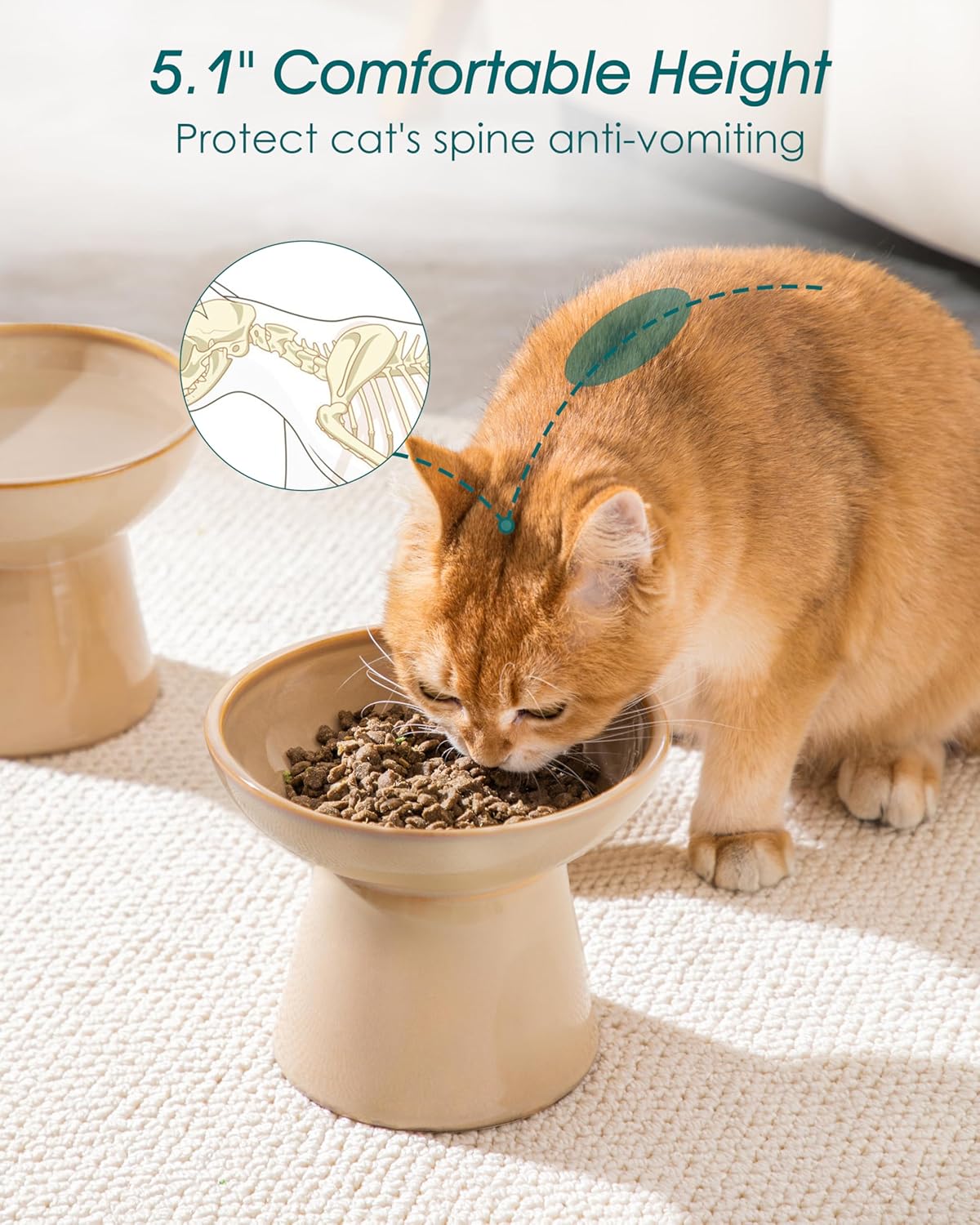 vancasso Ceramic Elevated Cat Bowls 2-Pack - 6.2" Extra Wide Raised Cat Food & Water Dishes, 5.1" Optimal Height Anti-Whisker Fatigue Shallow Bowls for Cats/Kittens/Dogs, Lead & Cadmium Free (Brown)