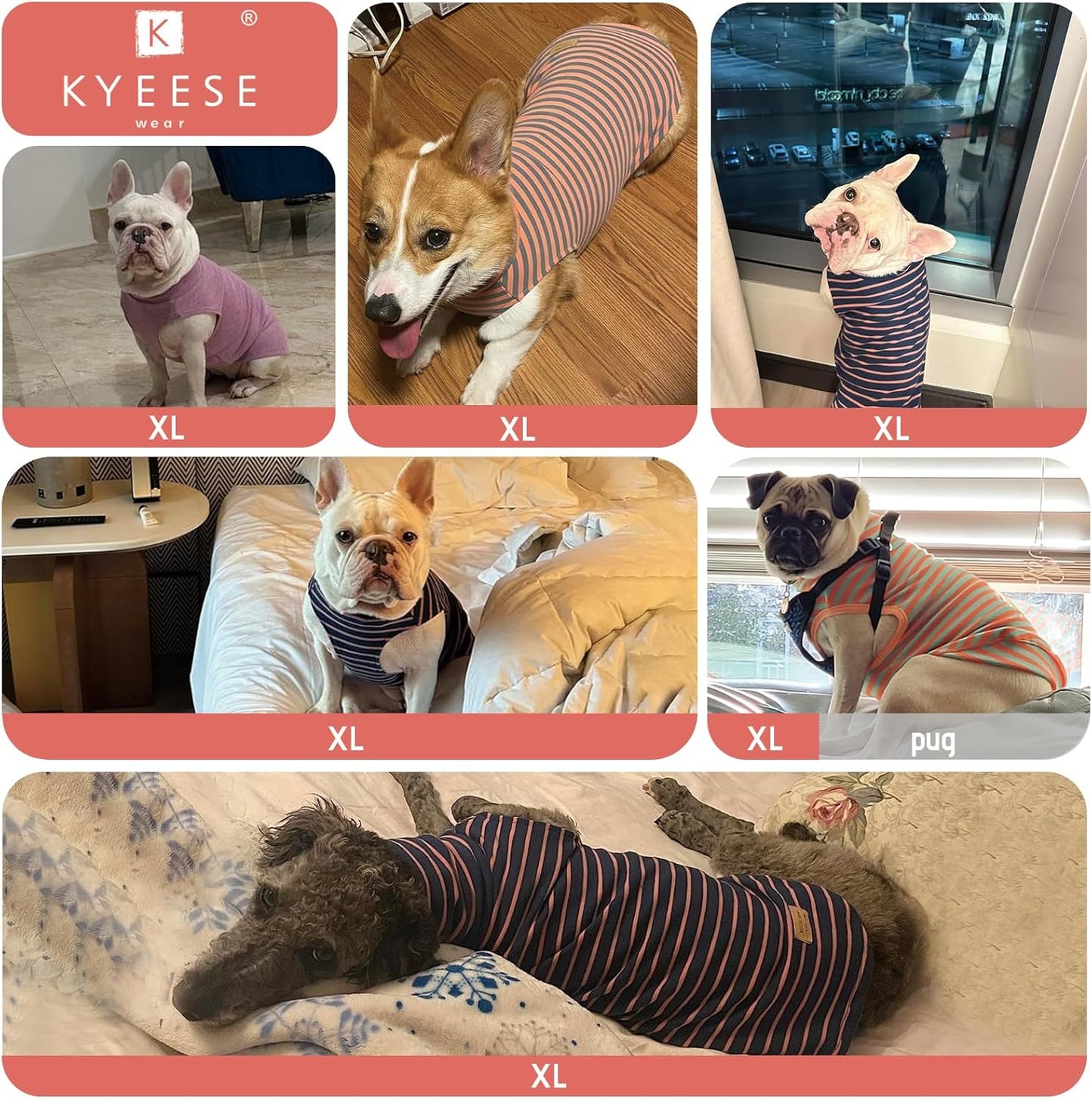 KYEESE 2Pack Dog Sweater Soft Pet Sweatshirt PulloverDog Sweaters for Small Dogs Male Warm Pet Coats Stretchy Dachshund Clothes Turtleneck Dogs Clothes
