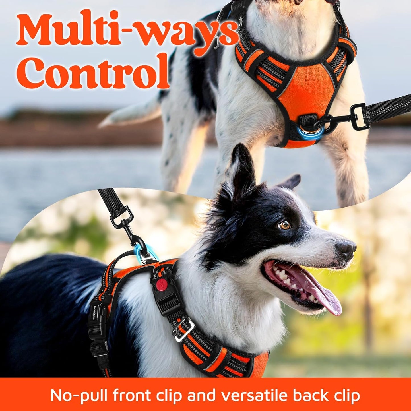 rabbitgoo Dog Harness for Large Dogs, No Pull Pet Vest with 3 Buckles, Adjustable Soft Padded Pet Harness with Easy Control Handle and Reflective Strips, Orange, L